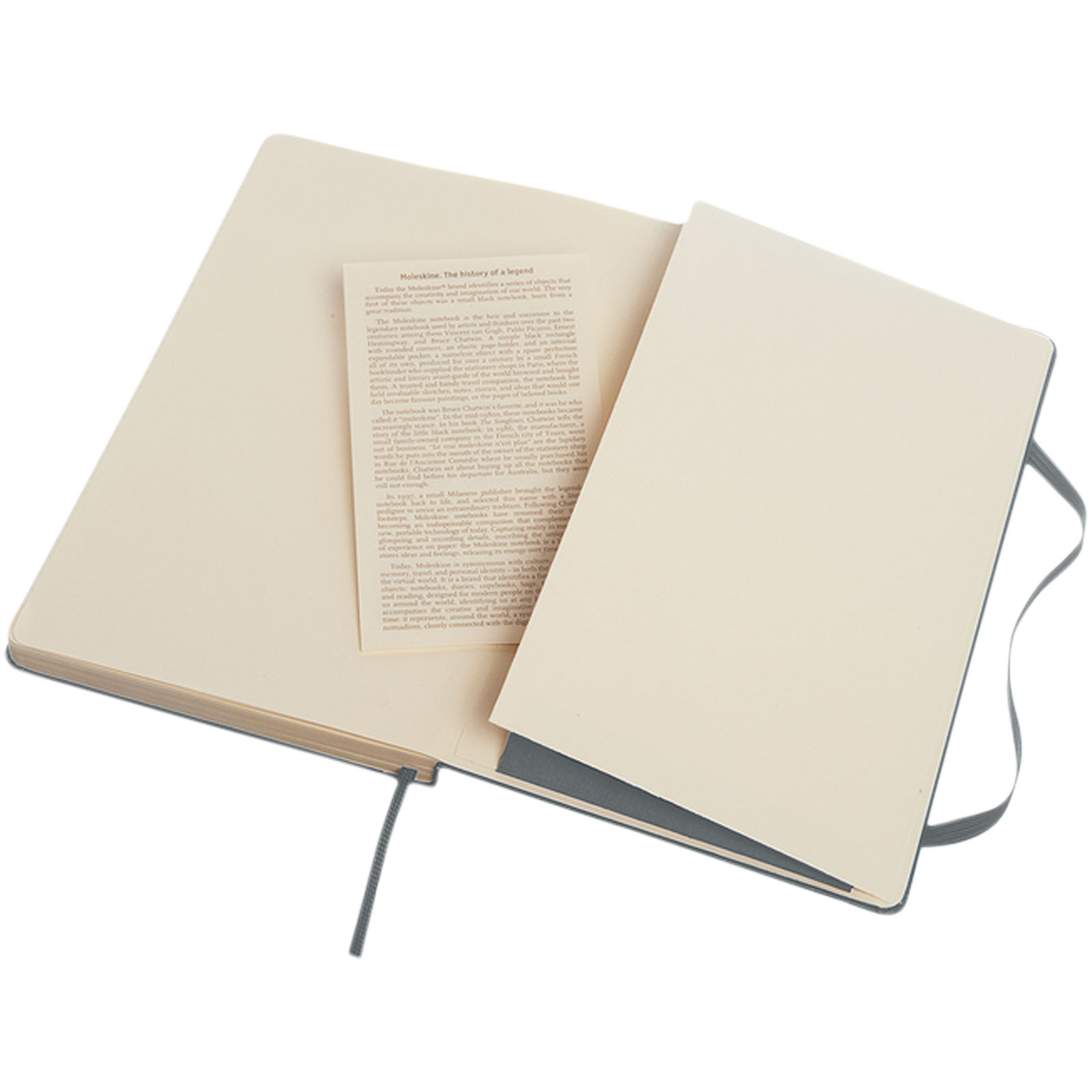 Moleskine Classic L hard cover notebook – ruled