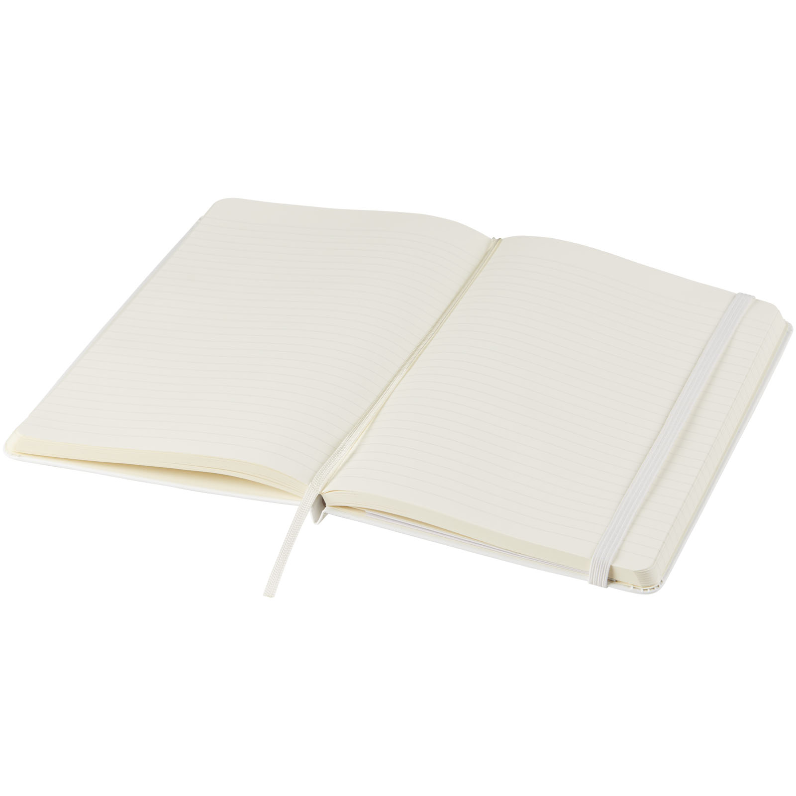 Moleskine Classic L hard cover notebook – ruled