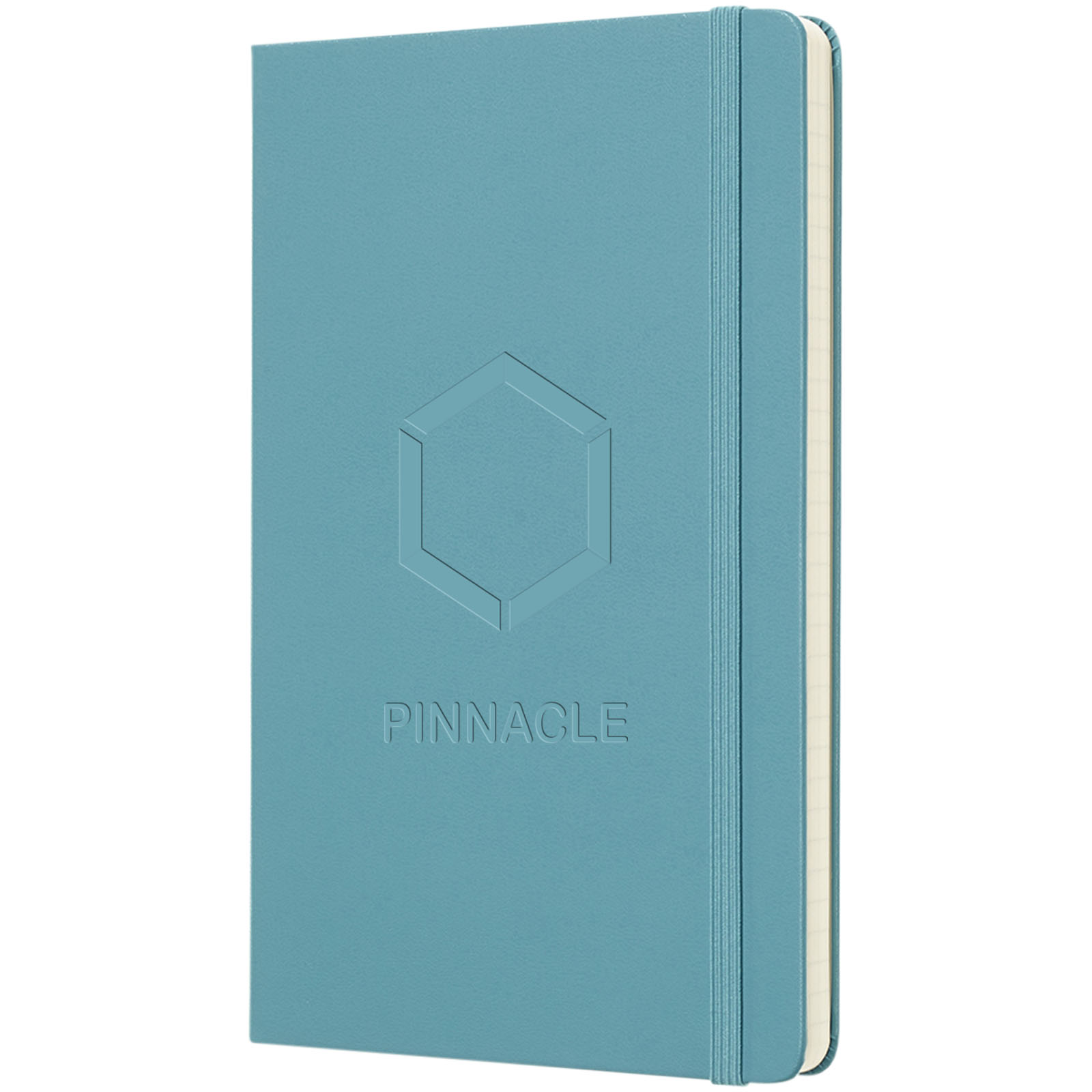 Moleskine Classic L hard cover notebook – ruled