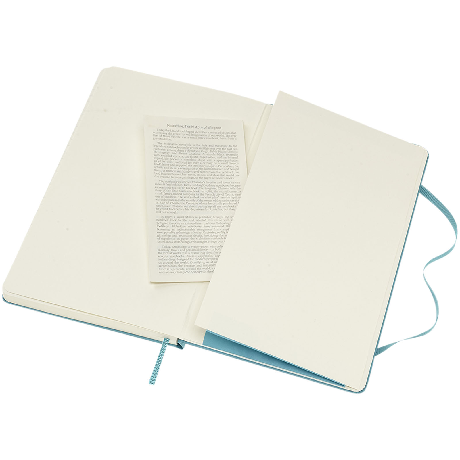 Moleskine Classic L hard cover notebook – ruled