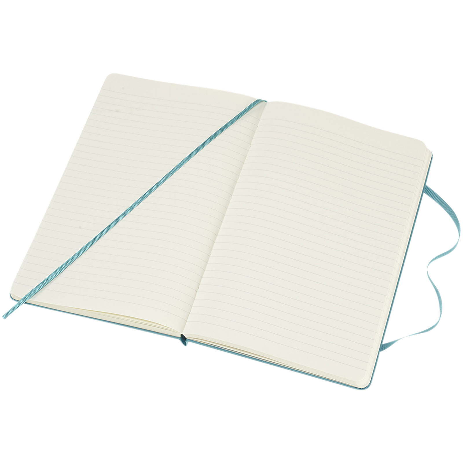 Moleskine Classic L hard cover notebook – ruled