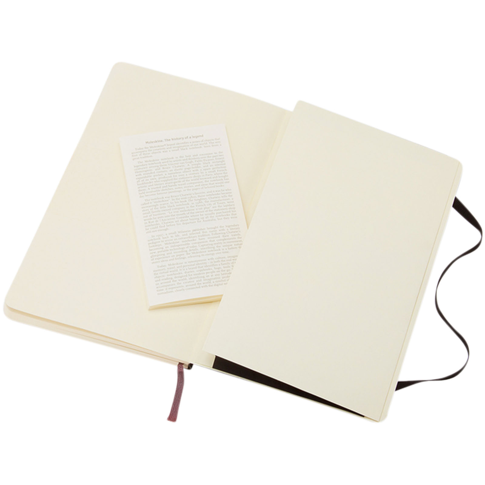 Moleskine Classic L soft cover notebook – ruled
