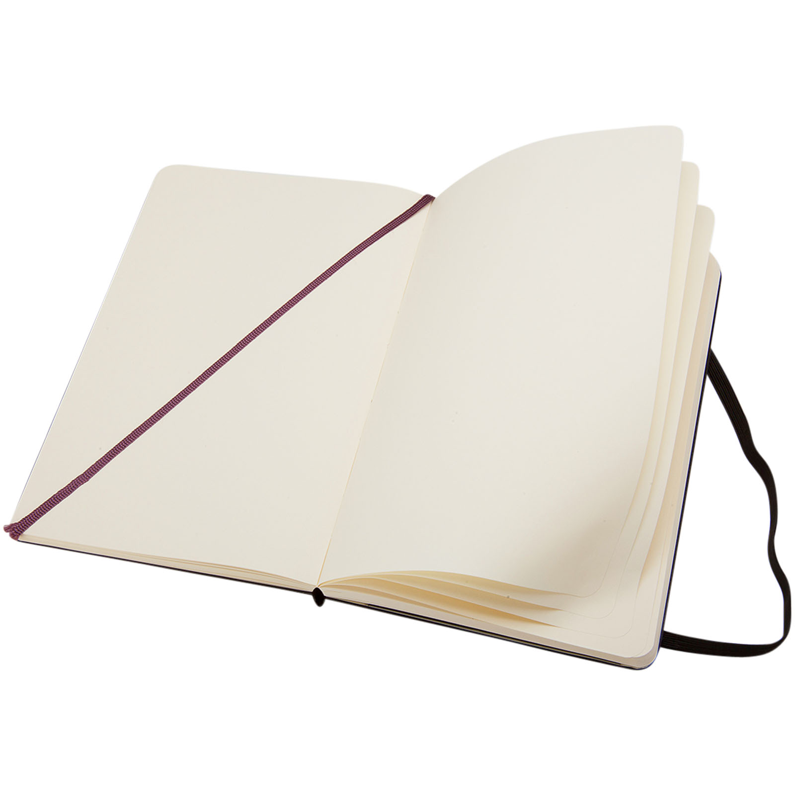 Moleskine Classic L hard cover notebook – plain