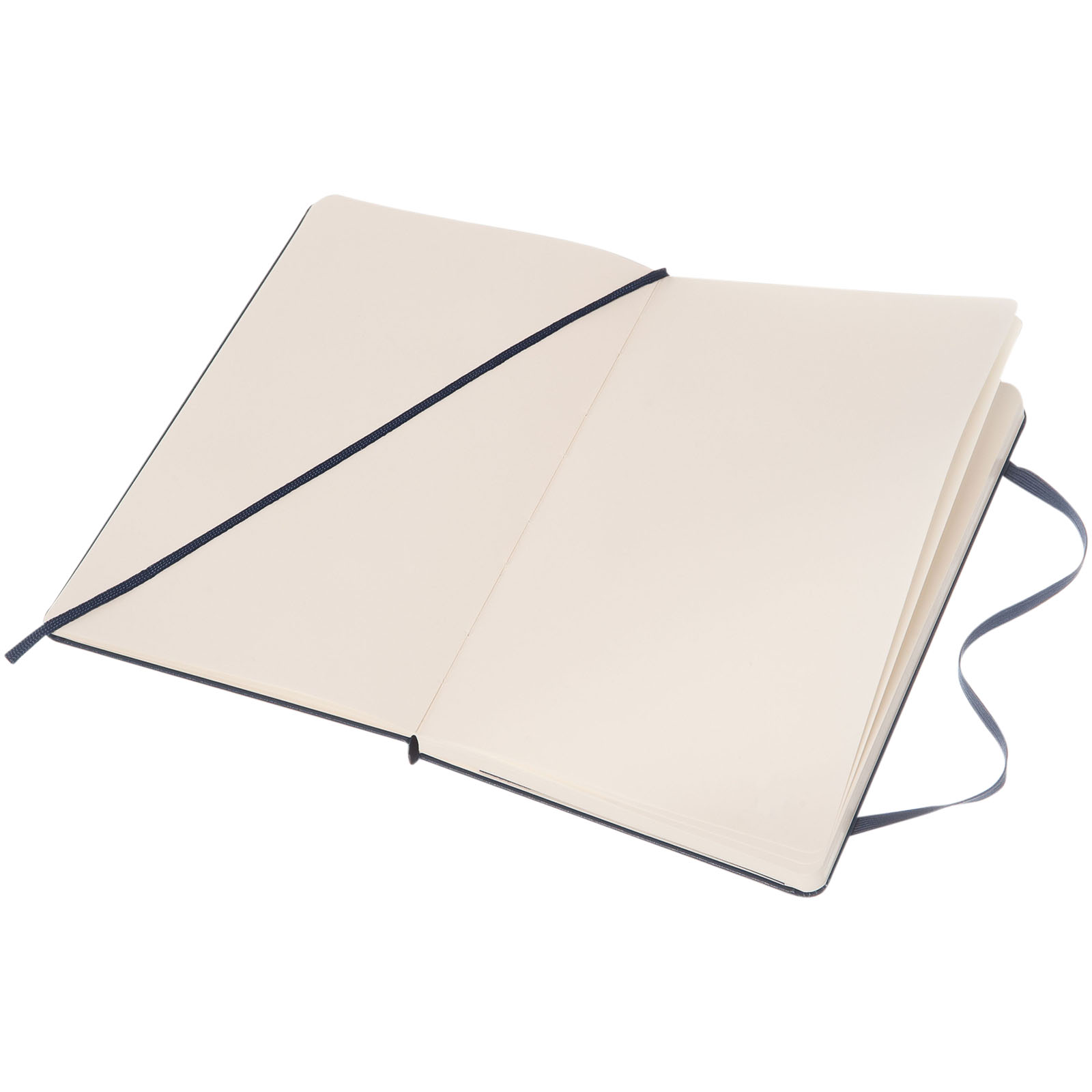 Moleskine Classic L hard cover notebook – plain