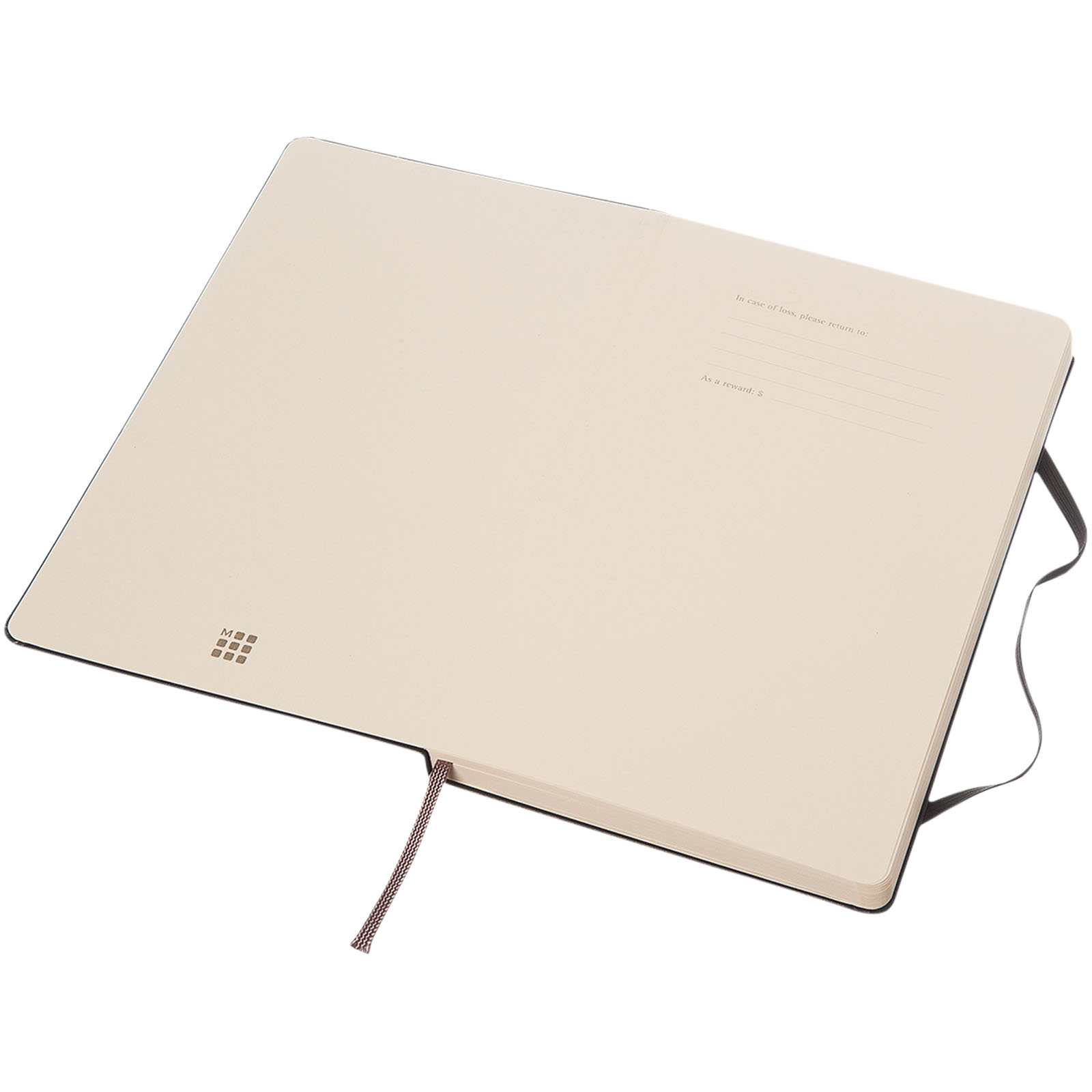 Moleskine Classic L hard cover notebook – dotted