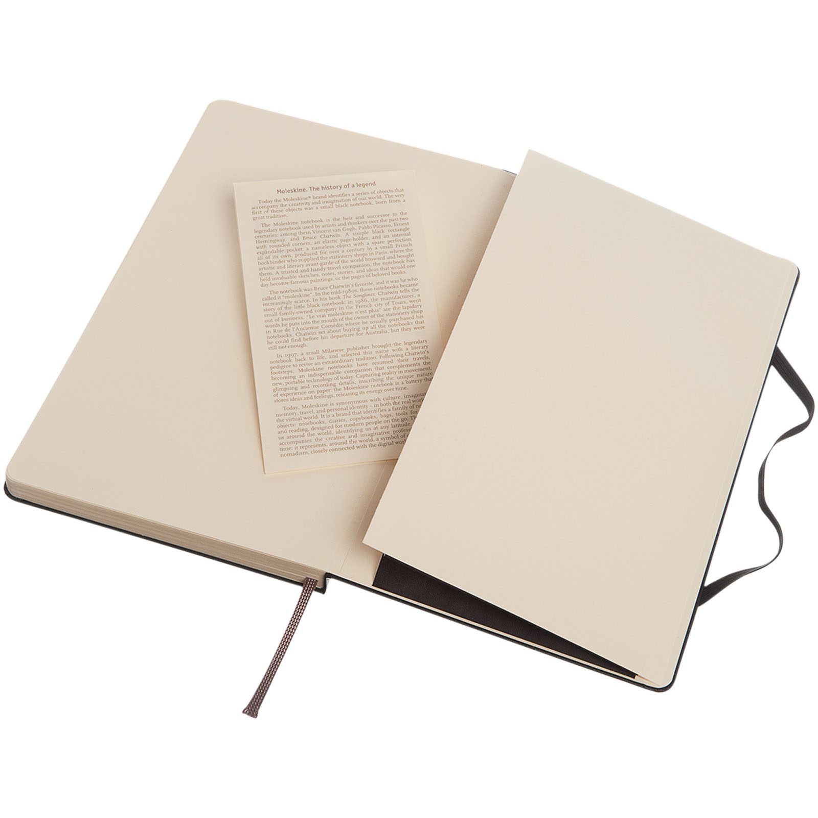 Moleskine Classic L hard cover notebook – dotted