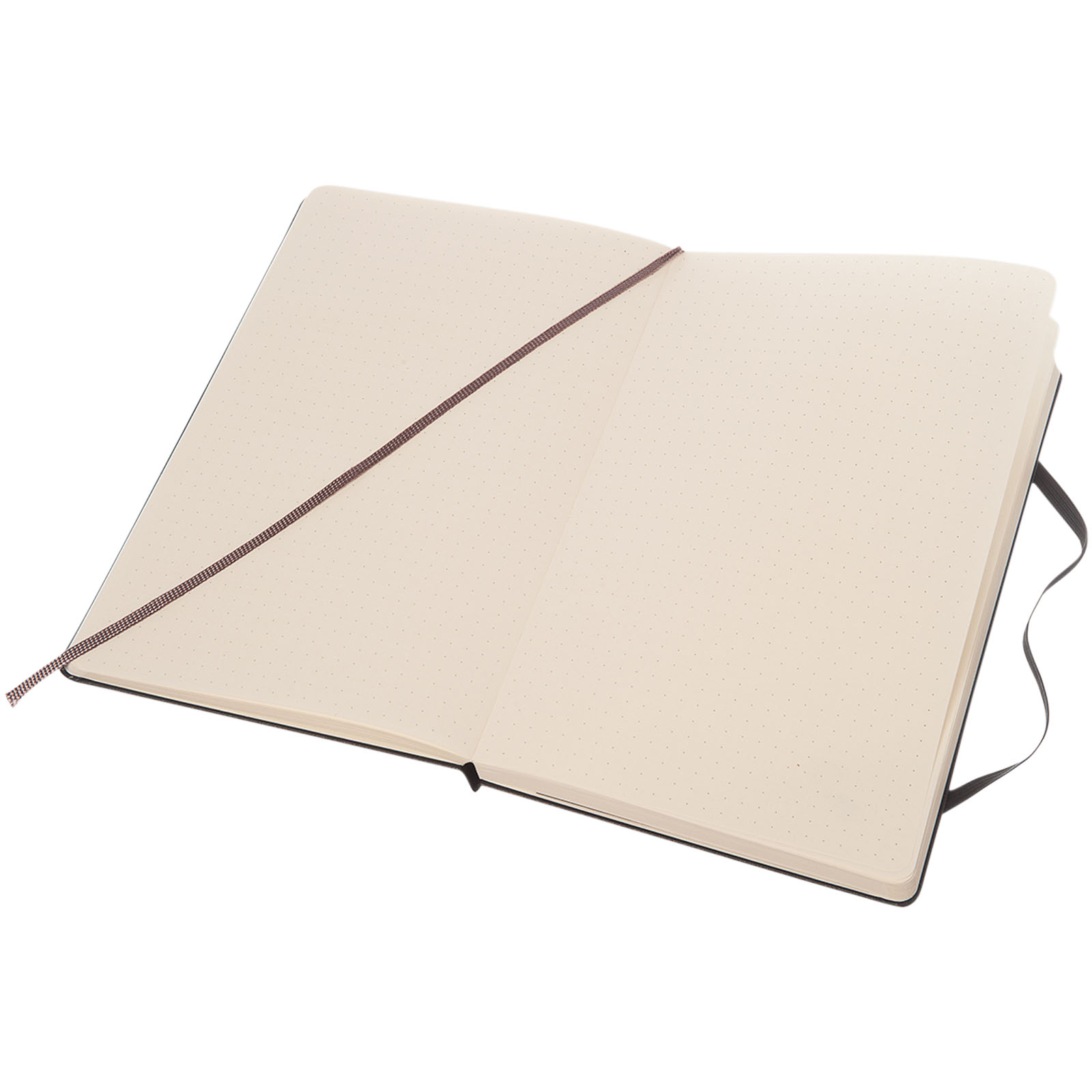 Moleskine Classic L hard cover notebook – dotted