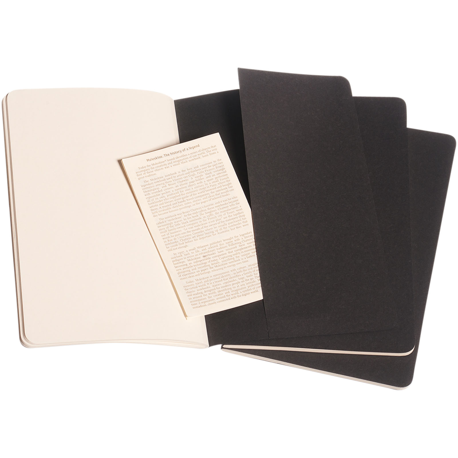 Moleskine Cahier Journal L – plain