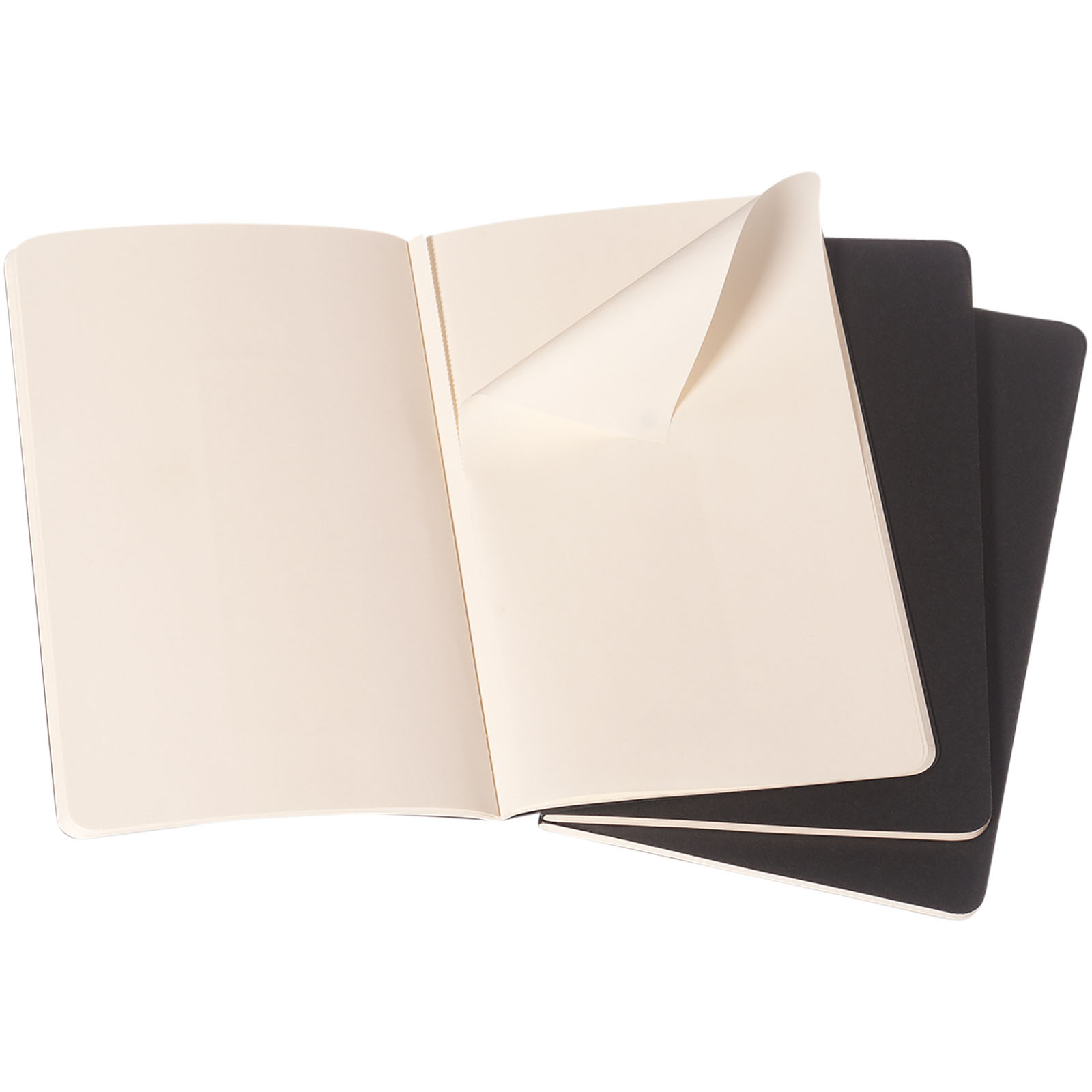 Moleskine Cahier Journal L – plain