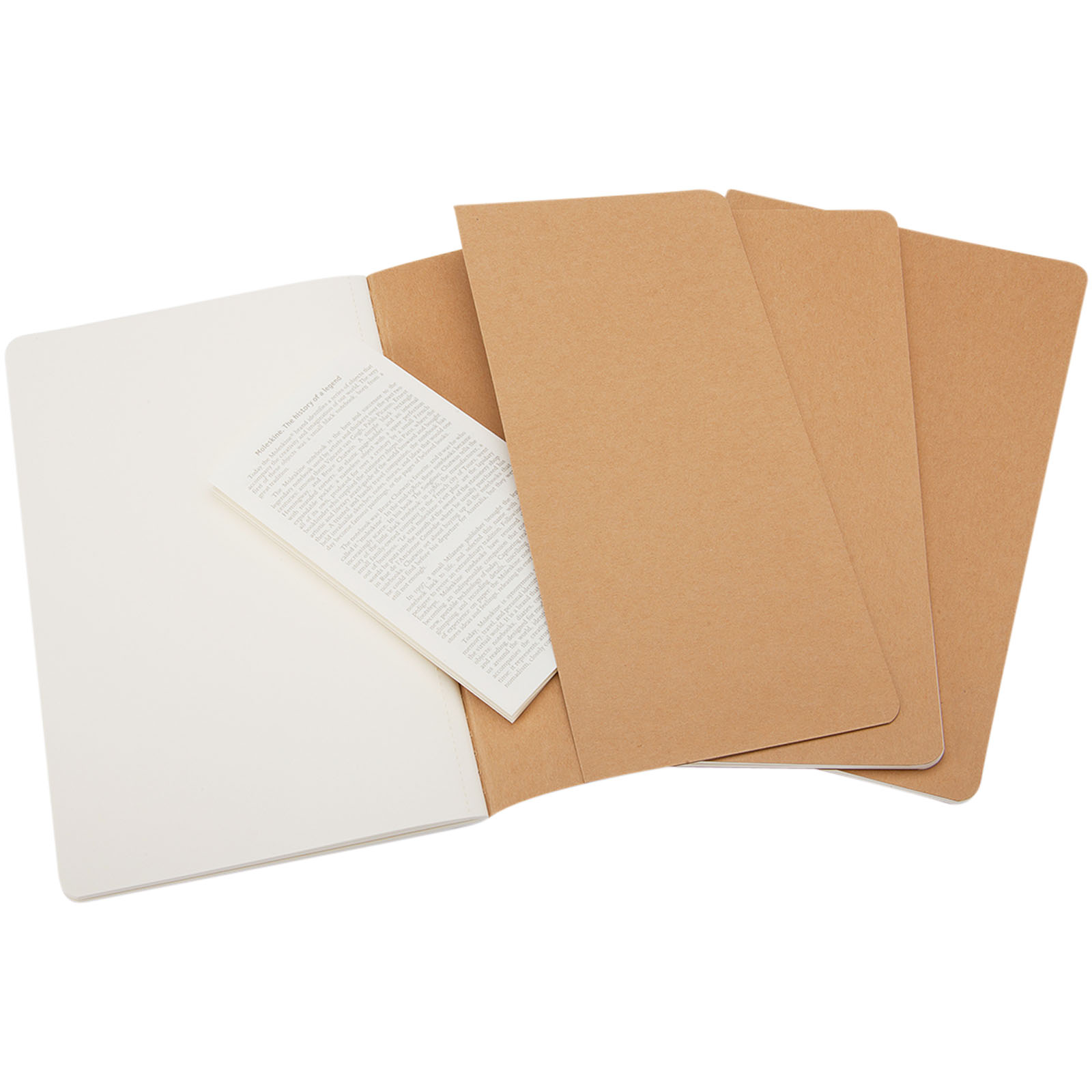 Moleskine Cahier Journal L – plain