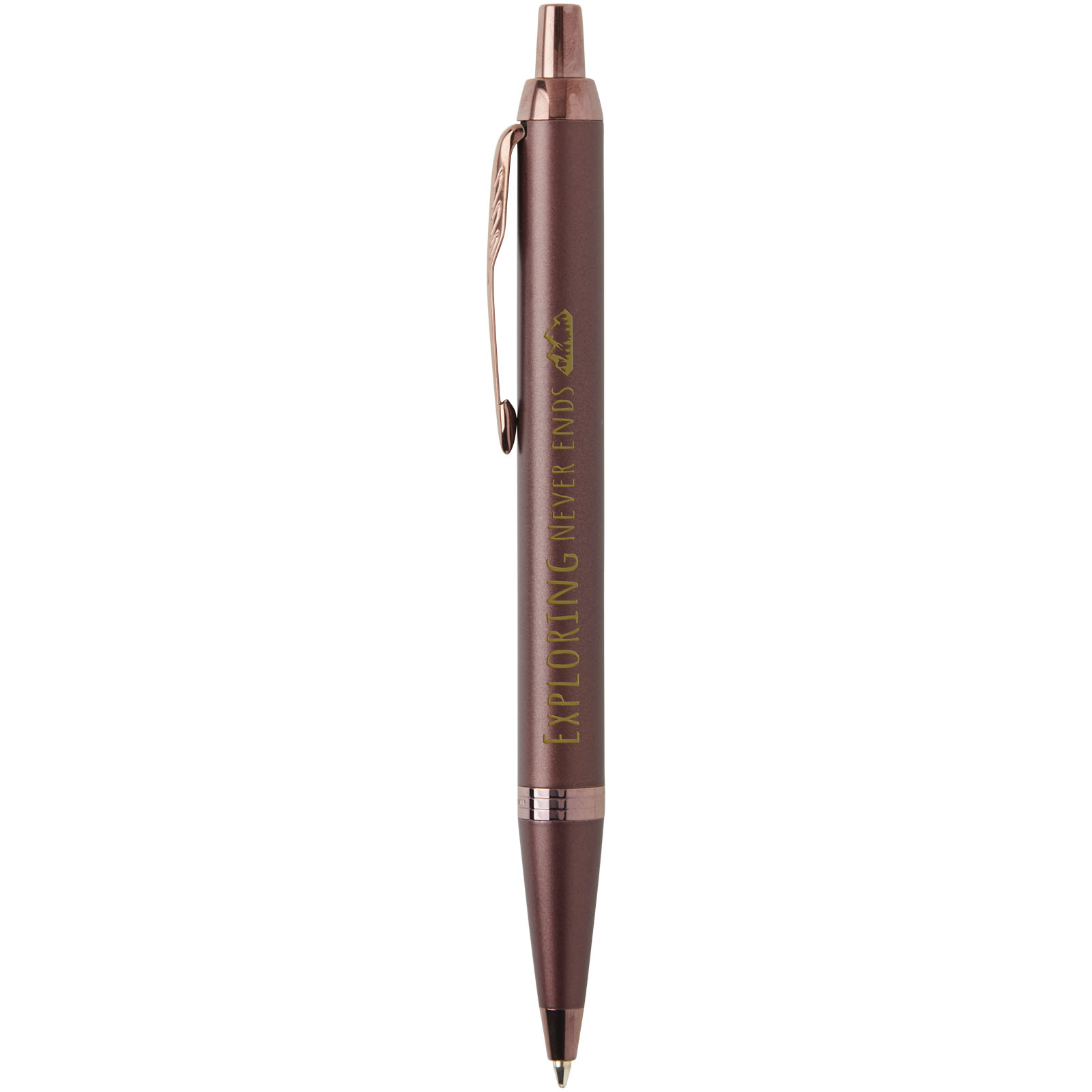 Parker IM ballpoint pen (blue ink)