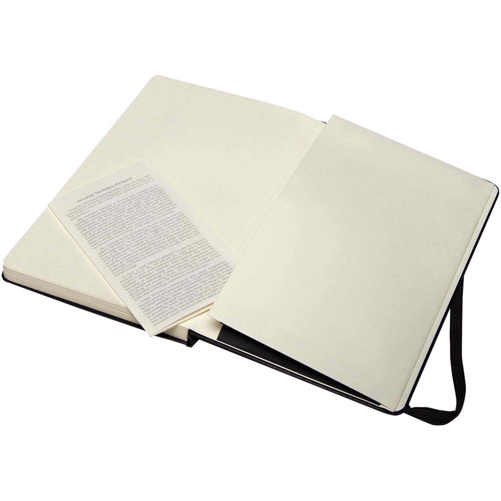 Moleskine large art sketchbook