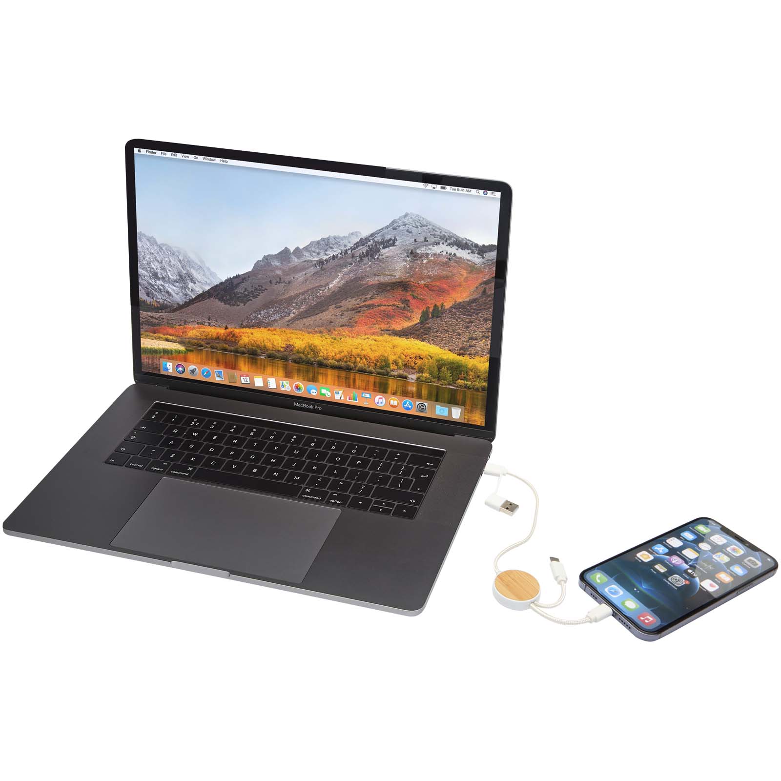 Chechia 5-in-1 recycled plastic 30 cm data sync and 27W fast charge cable with bamboo details