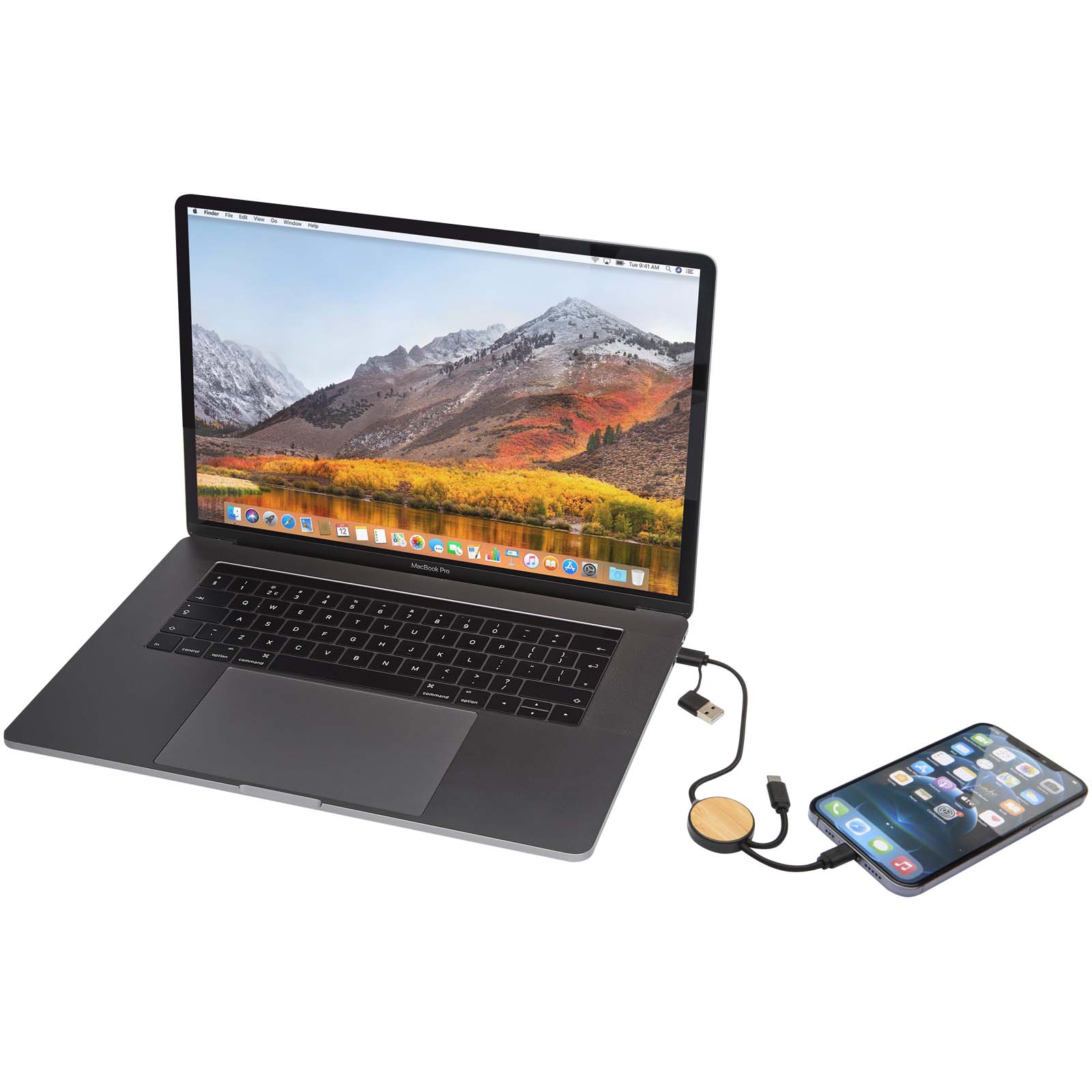 Chechia 5-in-1 recycled plastic 30 cm data sync and 27W fast charge cable with bamboo details