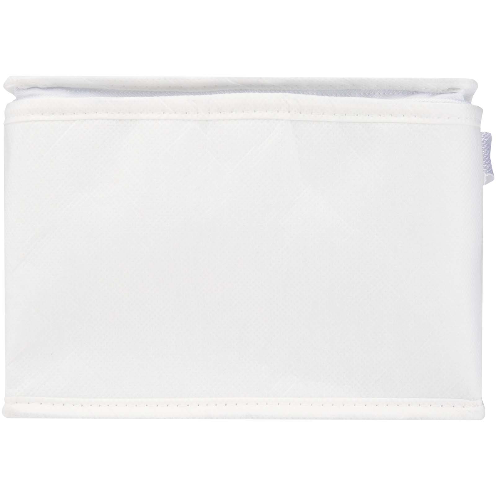 Spectrum 6-can recycled non-woven cooler bag 4L