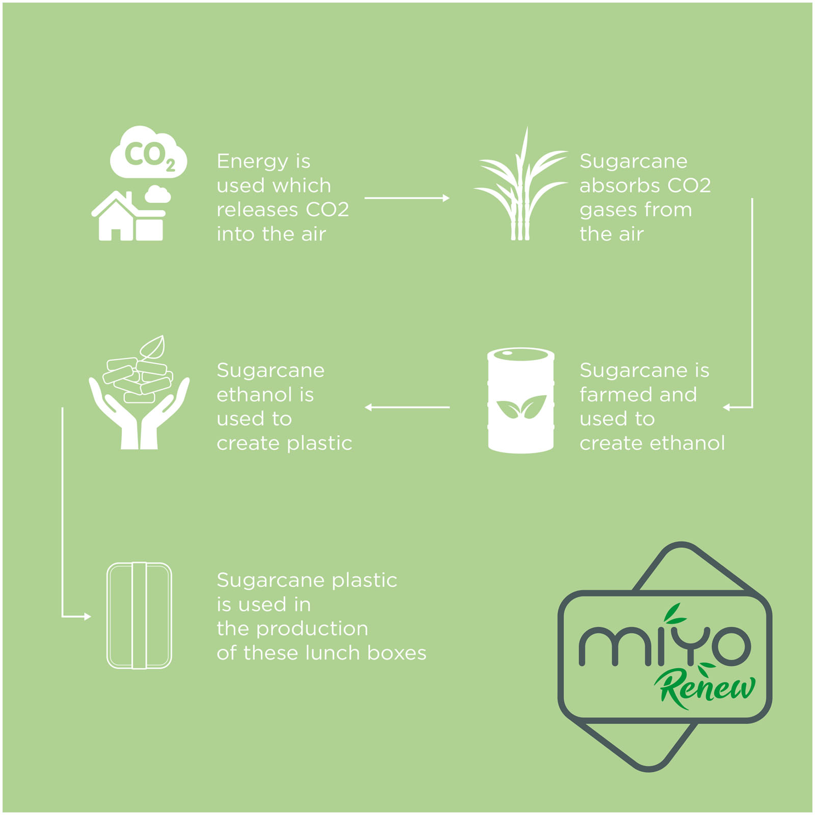MIYO Renew 700 ml single layer lunch box