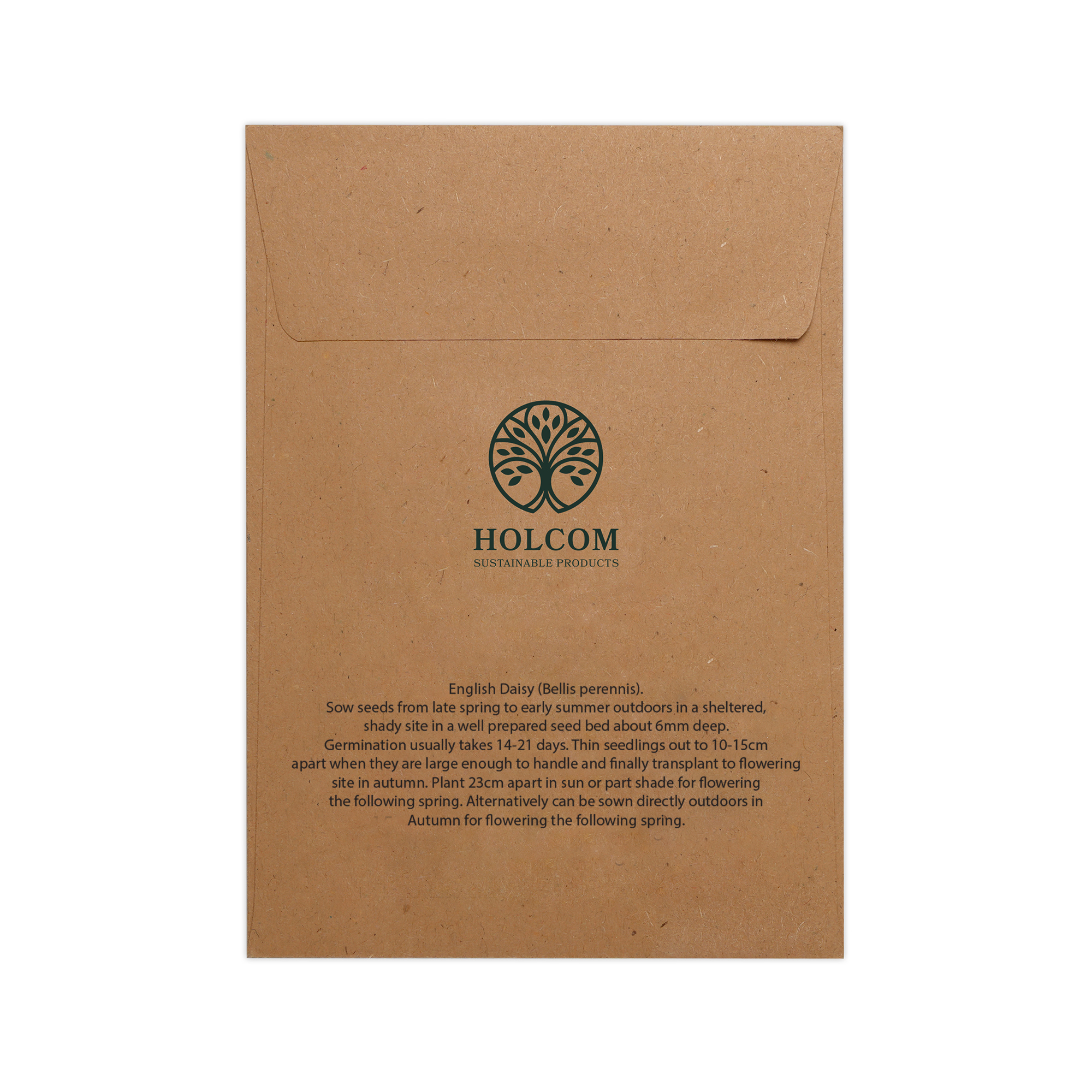 Natural Kraft Paper Seed Envelope
