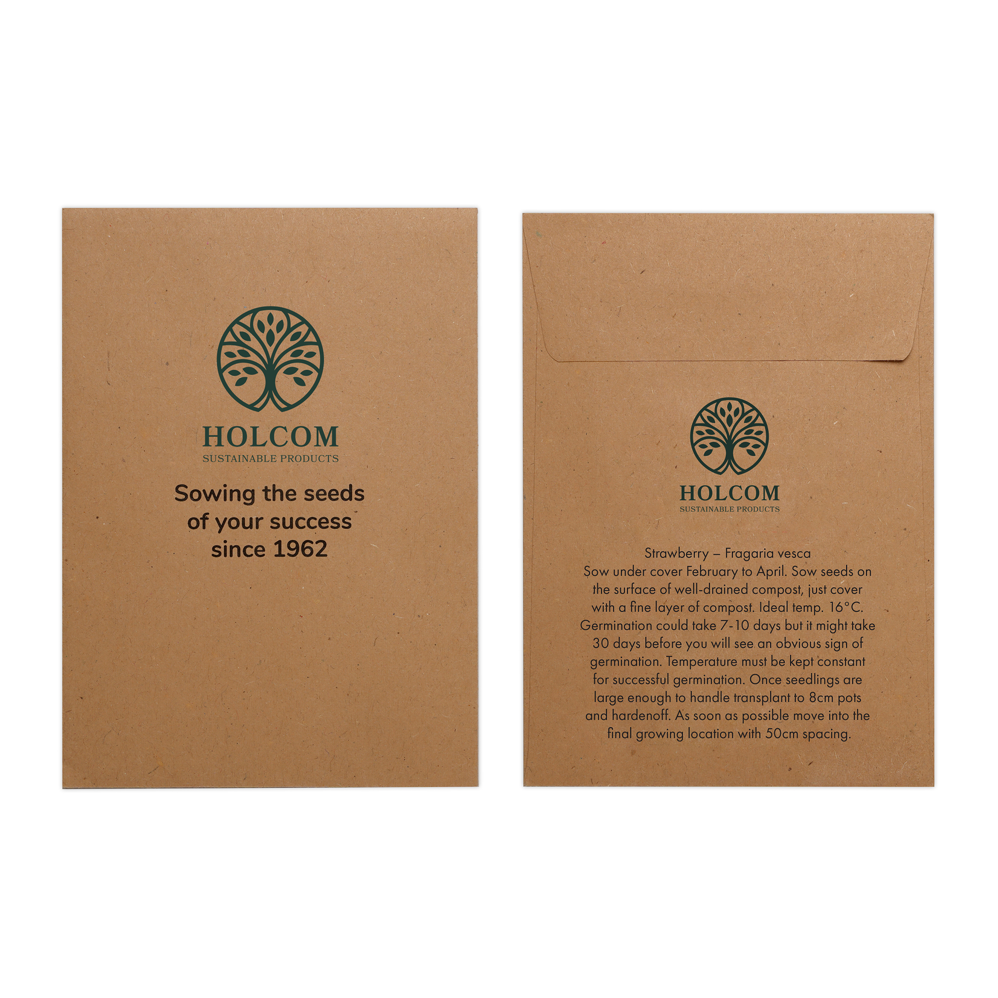 Natural Kraft Paper Seed Envelope