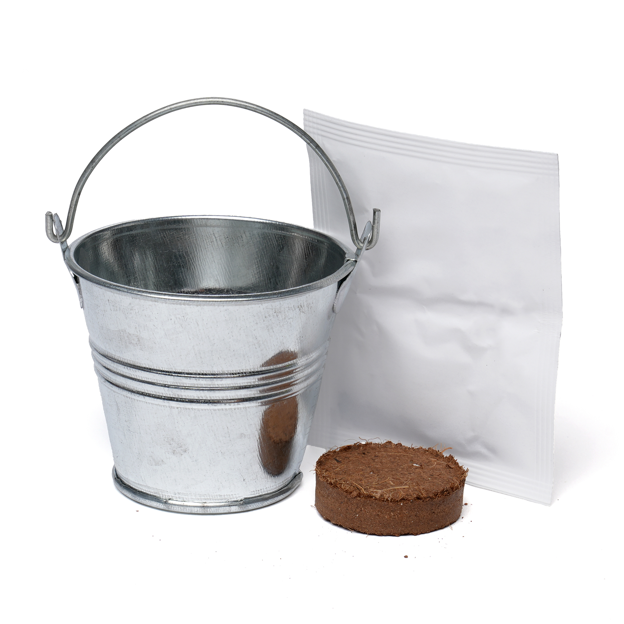 Silver Mini Bucket Grow Kit