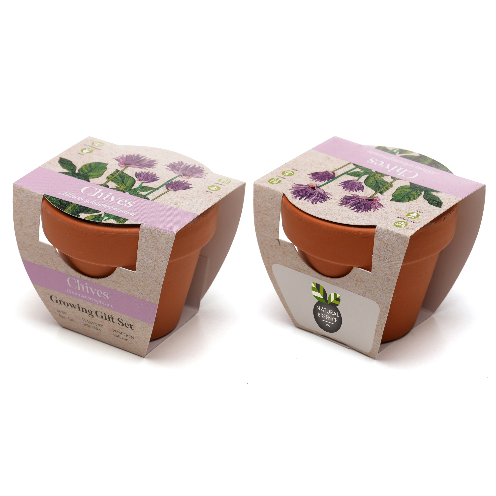 Standard Growing Gift with Mini Terracotta Pot
