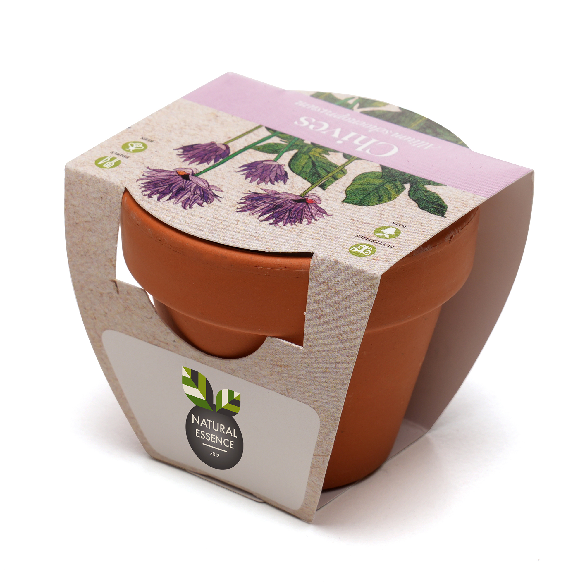 Standard Growing Gift with Mini Terracotta Pot