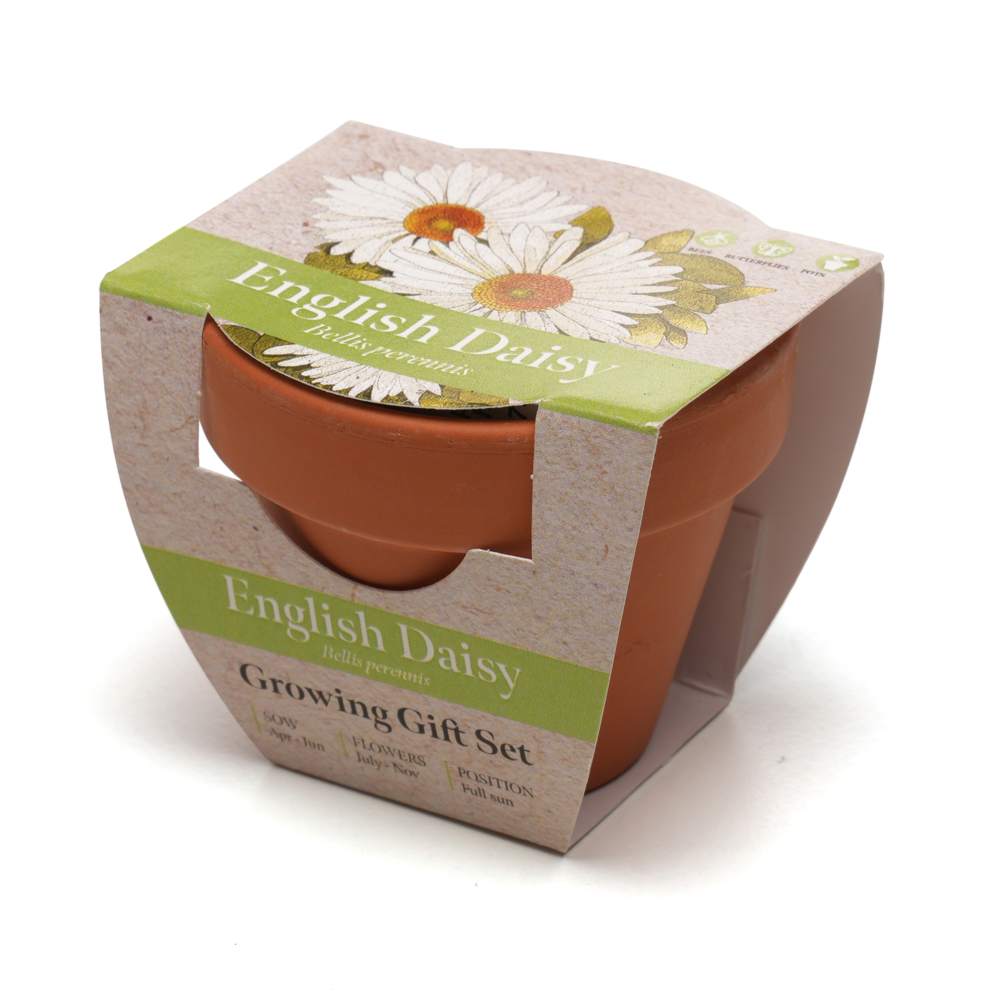Standard Growing Gift with Mini Terracotta Pot