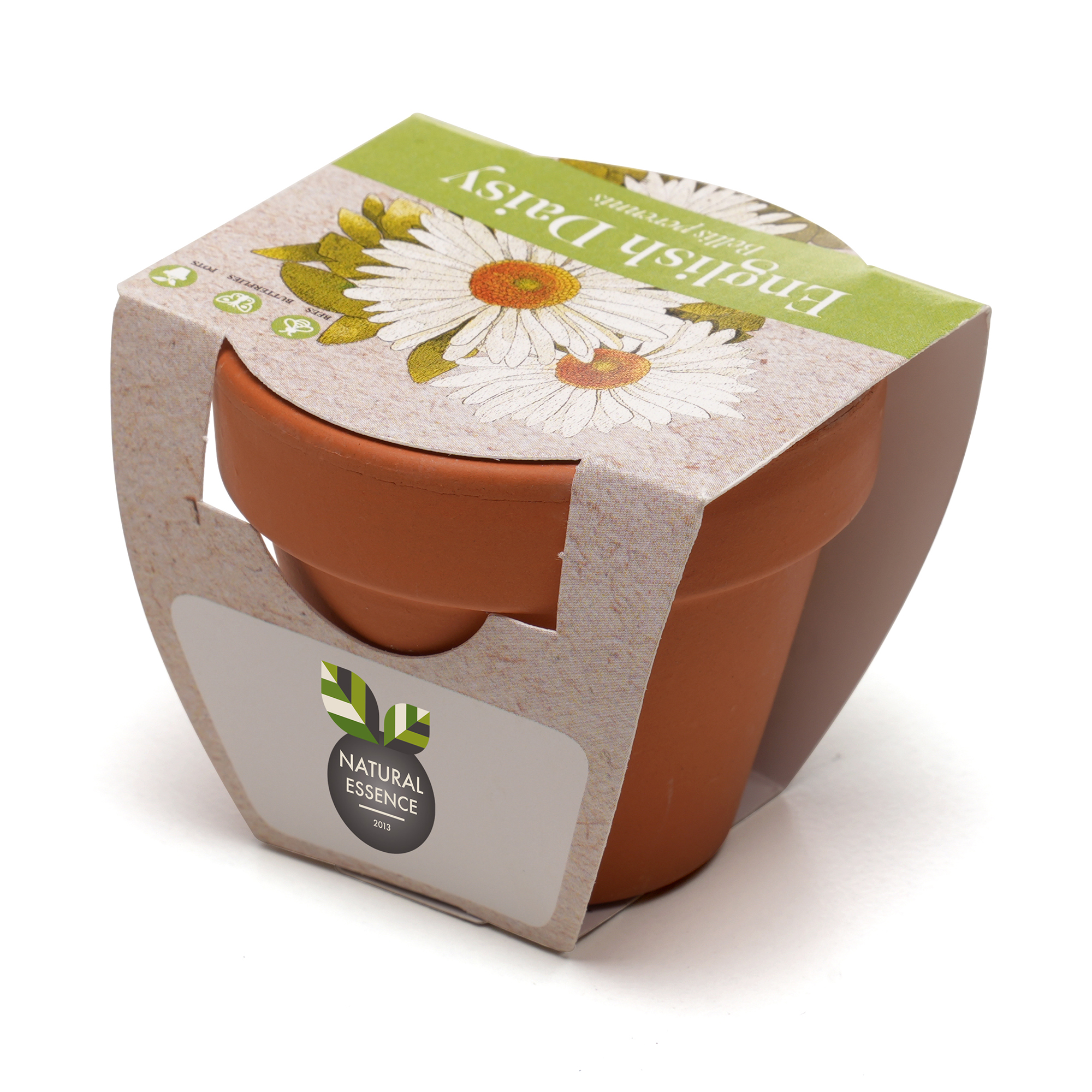 Standard Growing Gift with Mini Terracotta Pot