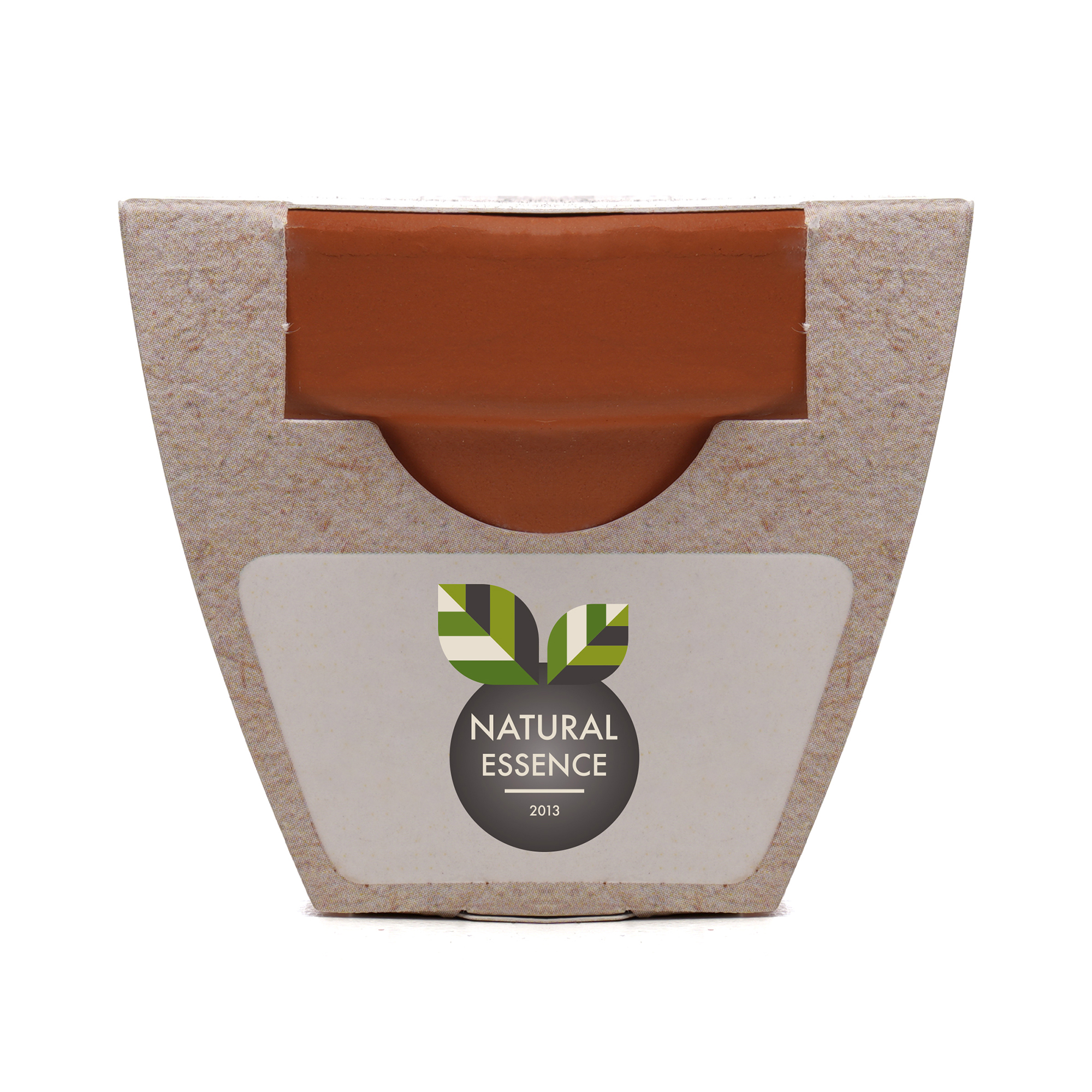 Standard Growing Gift with Mini Terracotta Pot