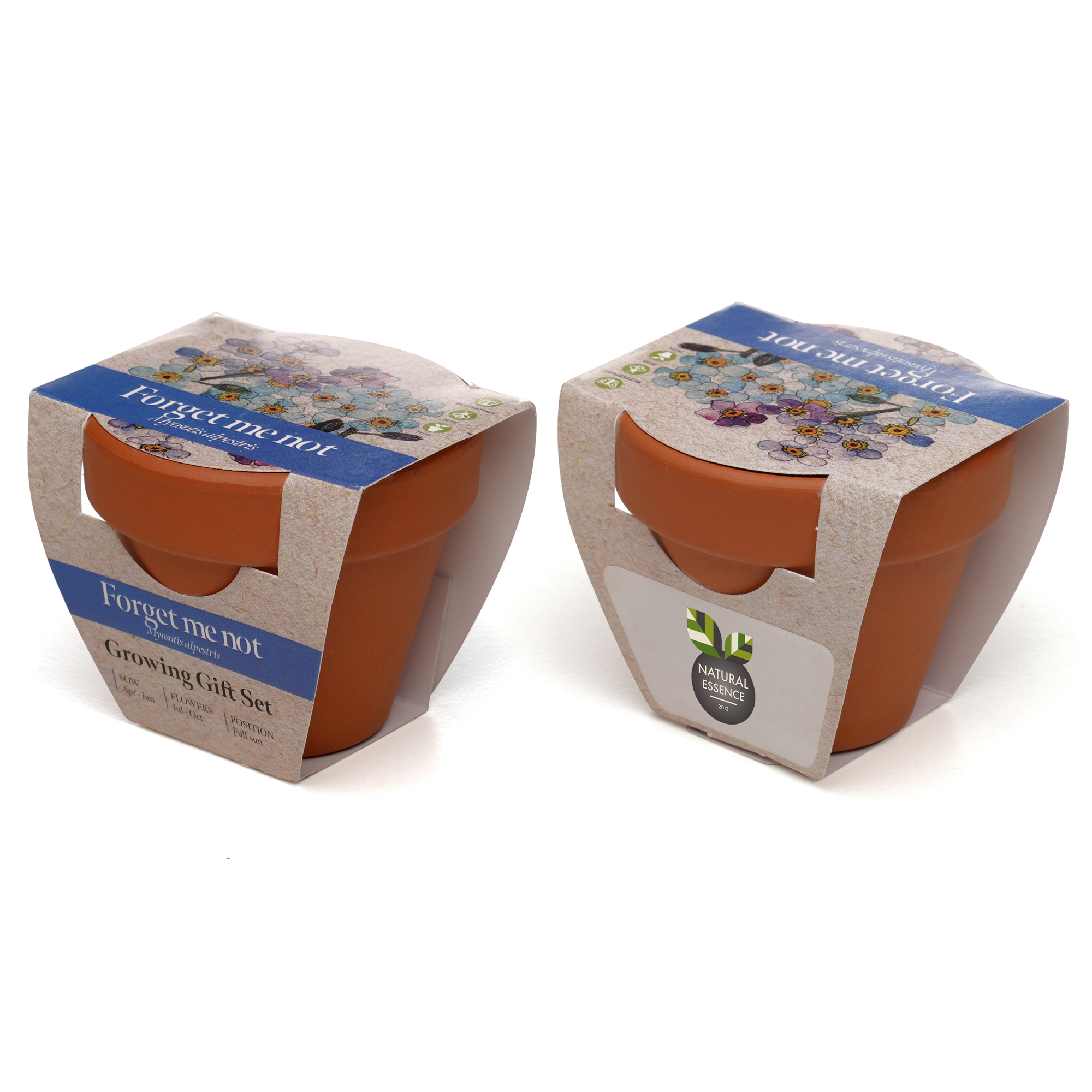 Standard Growing Gift with Mini Terracotta Pot