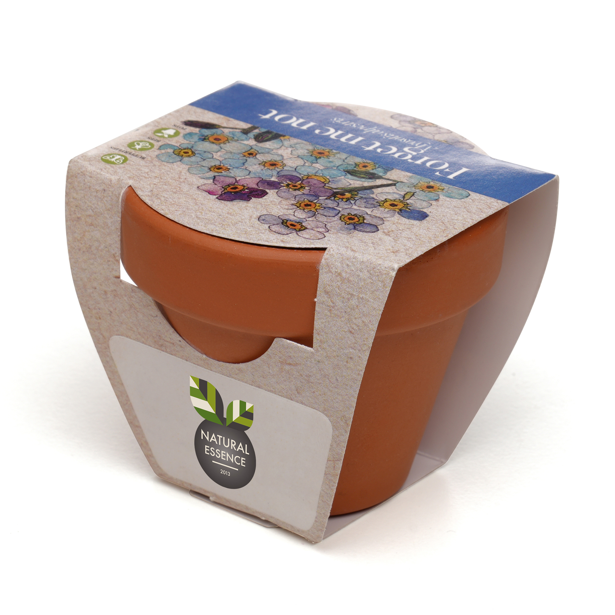 Standard Growing Gift with Mini Terracotta Pot