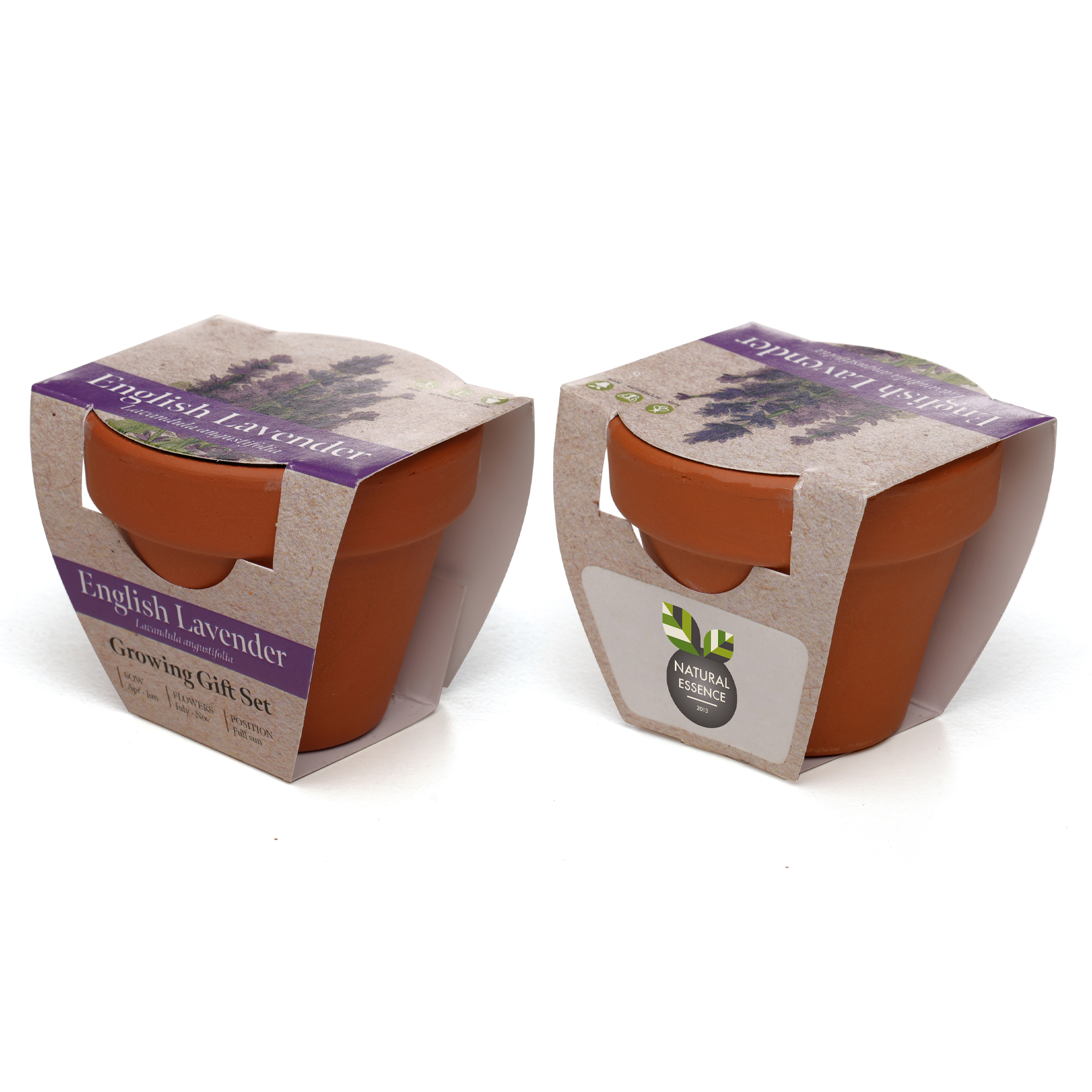 Standard Growing Gift with Mini Terracotta Pot