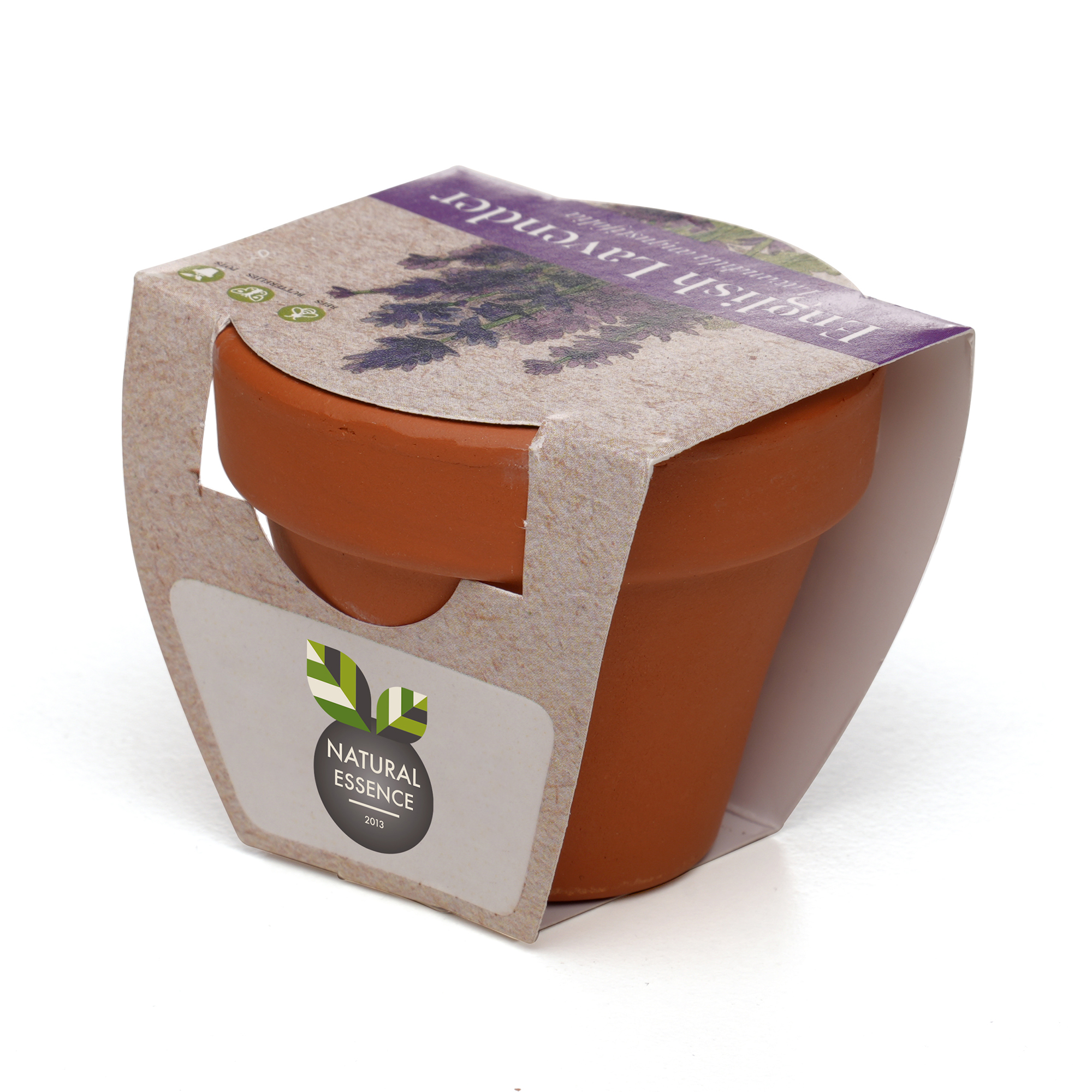 Standard Growing Gift with Mini Terracotta Pot