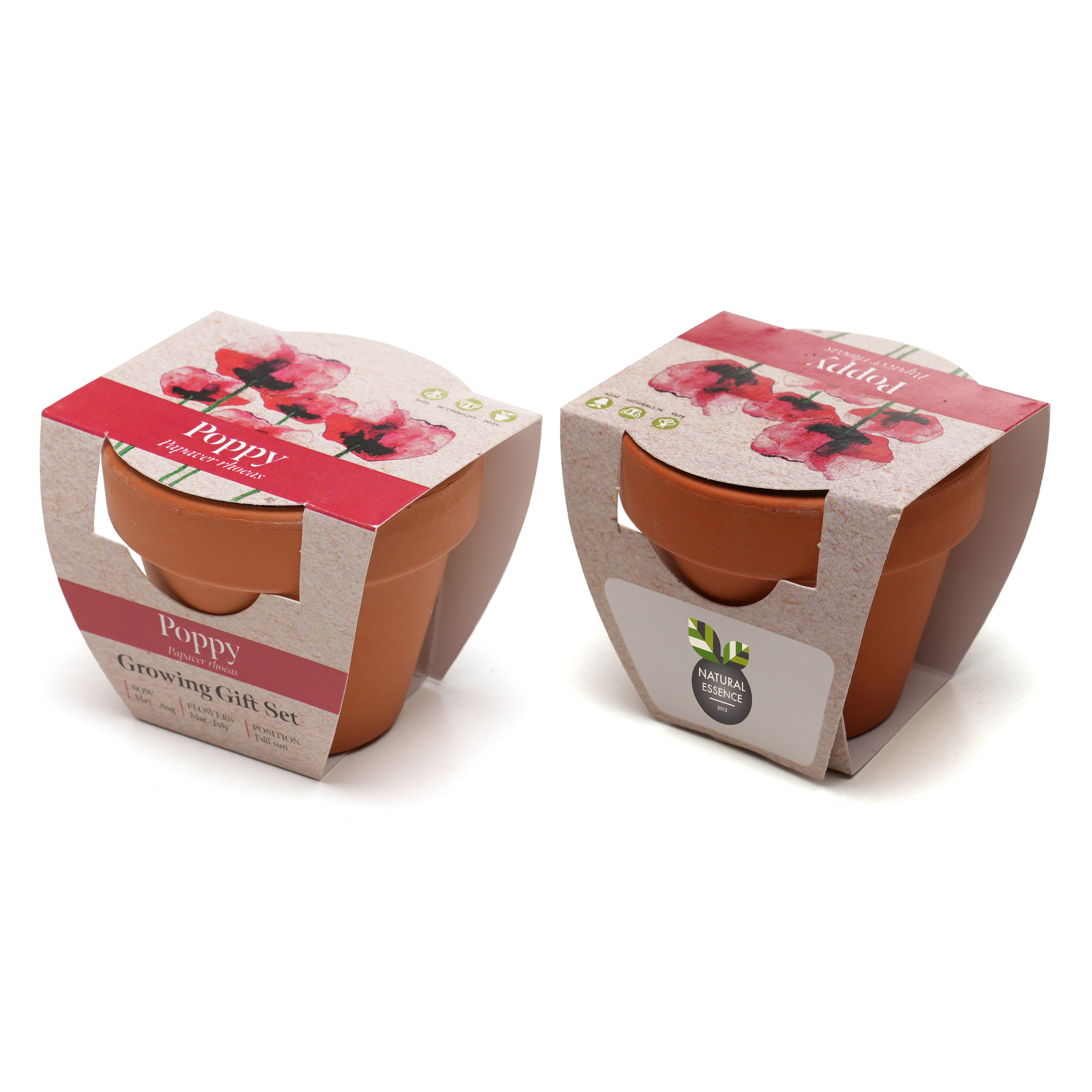 Standard Growing Gift with Mini Terracotta Pot