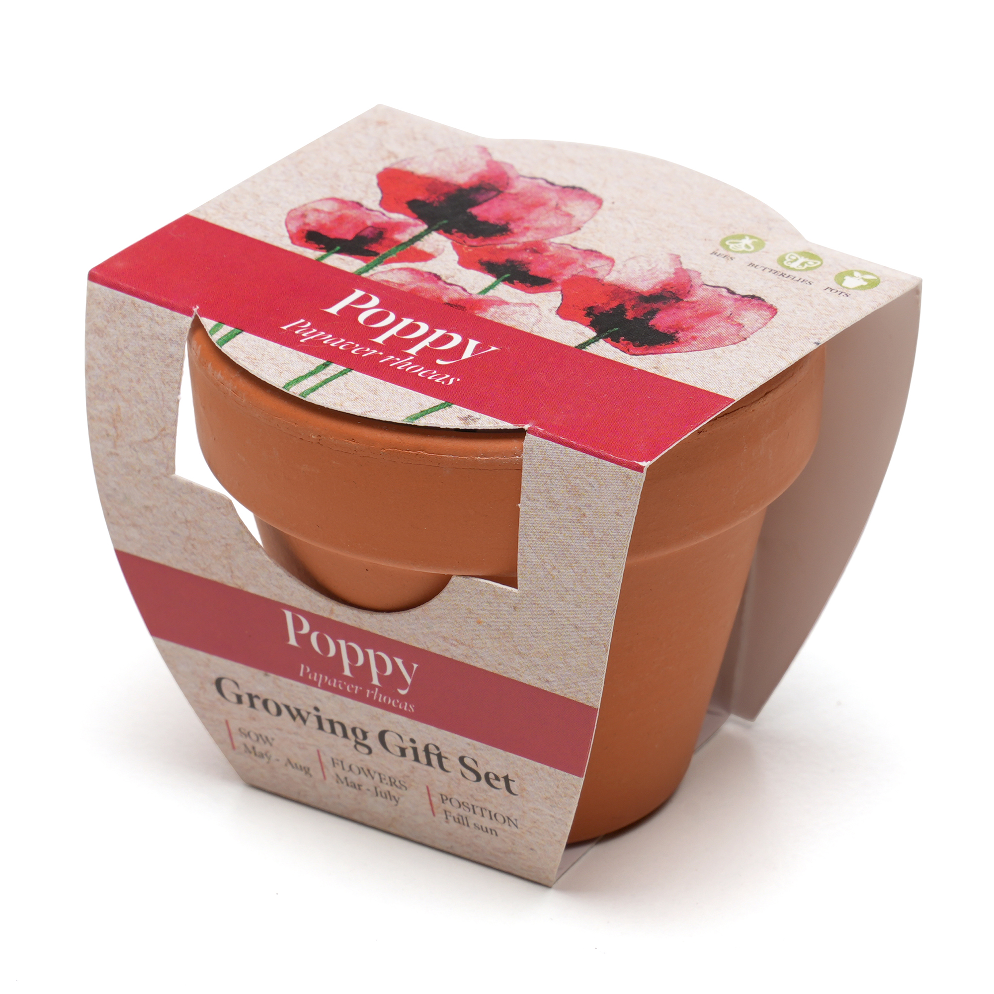 Standard Growing Gift with Mini Terracotta Pot