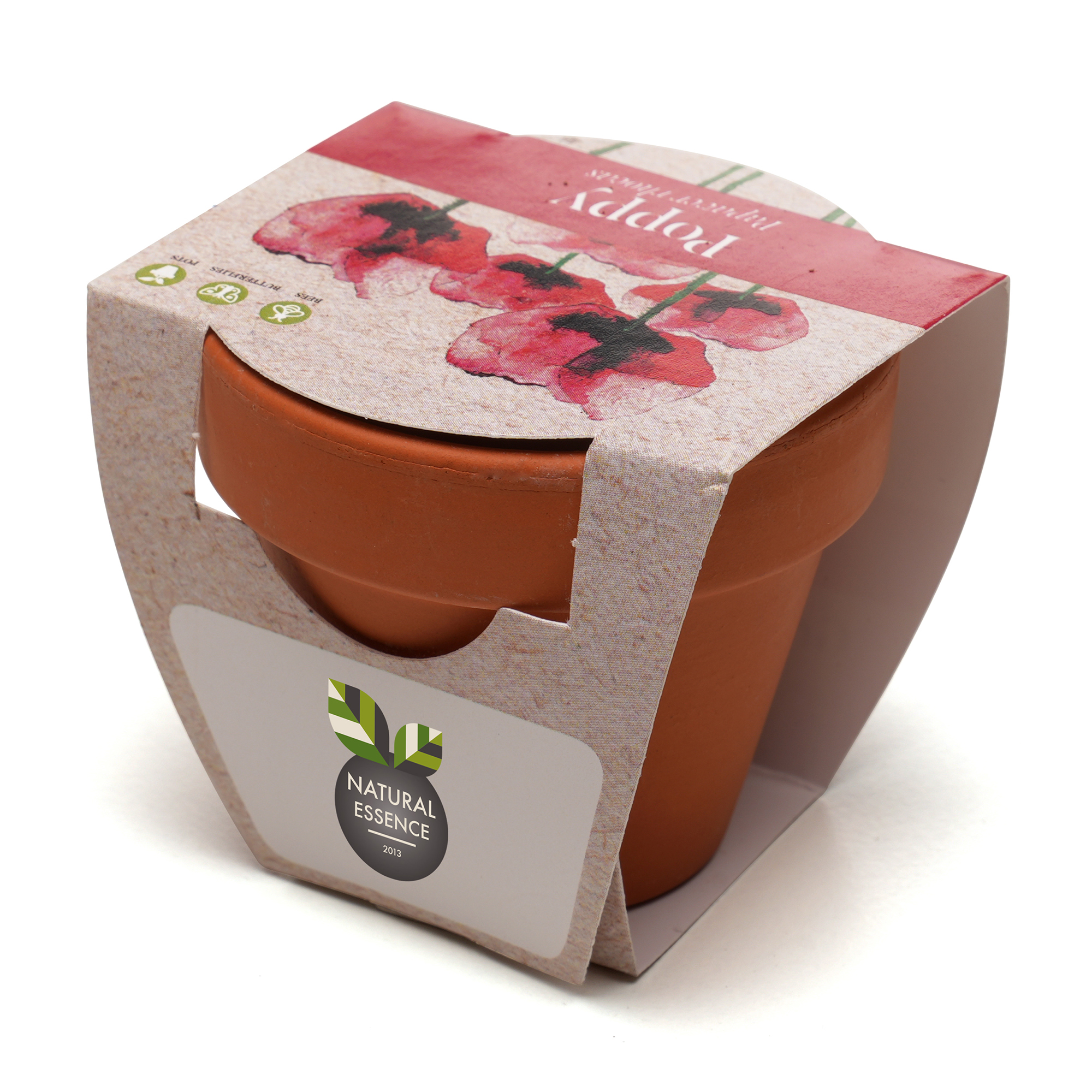 Standard Growing Gift with Mini Terracotta Pot