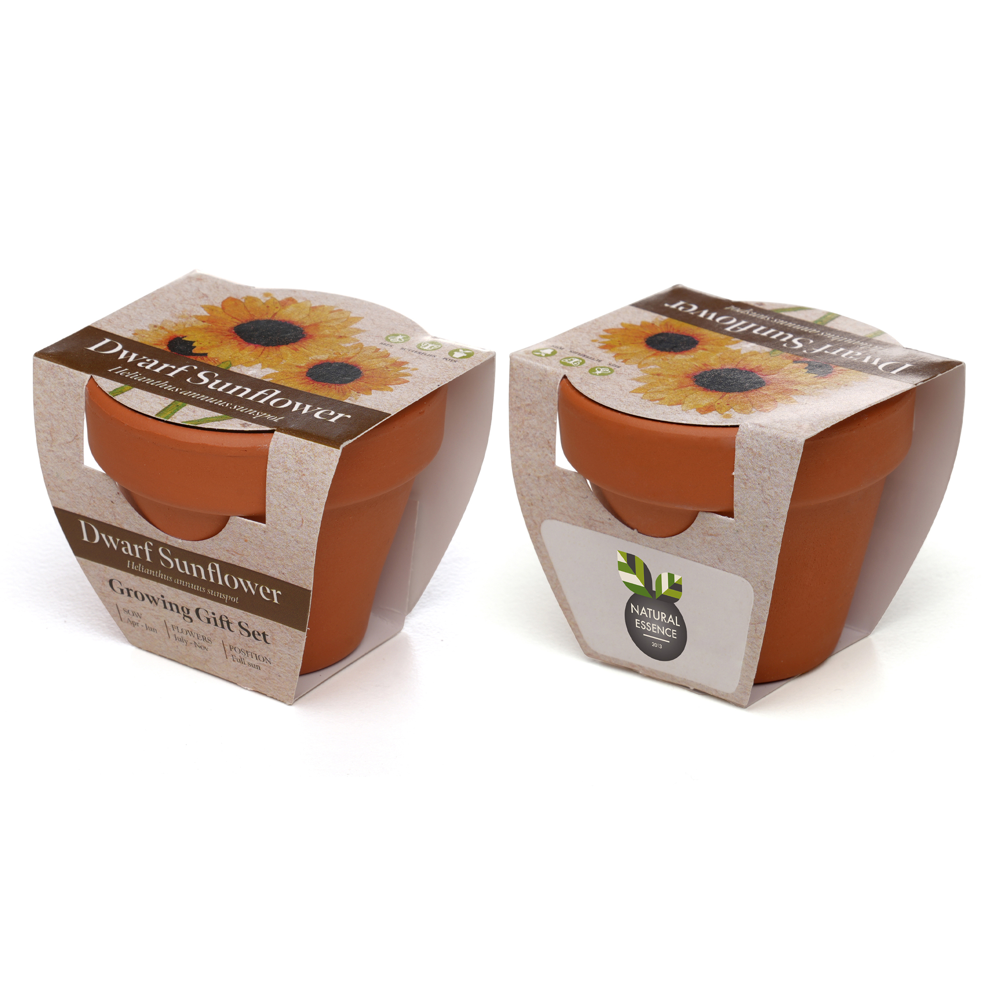 Standard Growing Gift with Mini Terracotta Pot