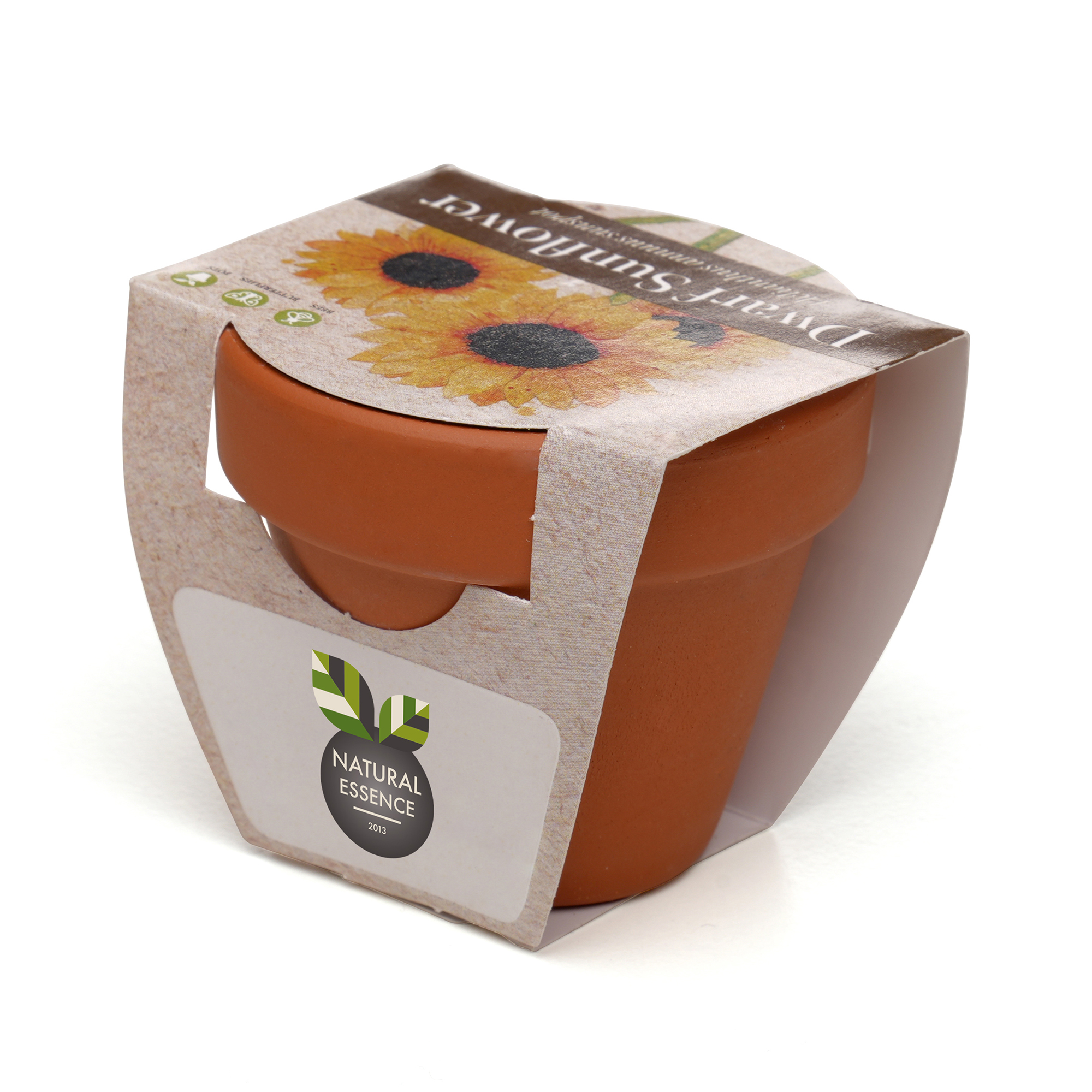 Standard Growing Gift with Mini Terracotta Pot