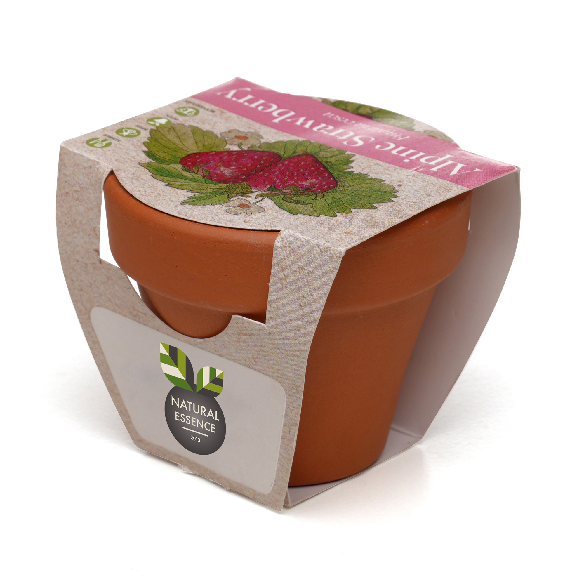 Standard Growing Gift with Mini Terracotta Pot