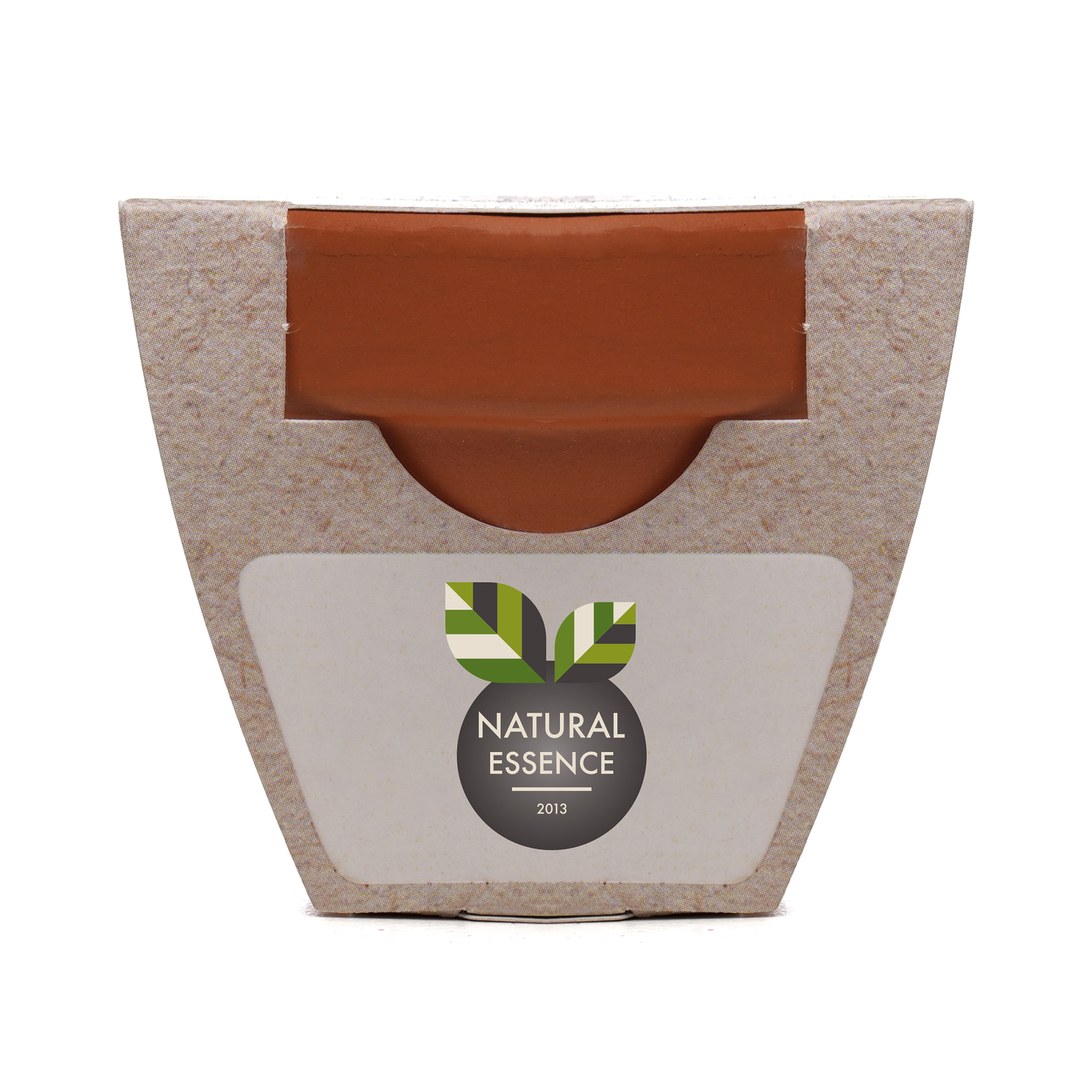 Standard Growing Gift with Mini Terracotta Pot