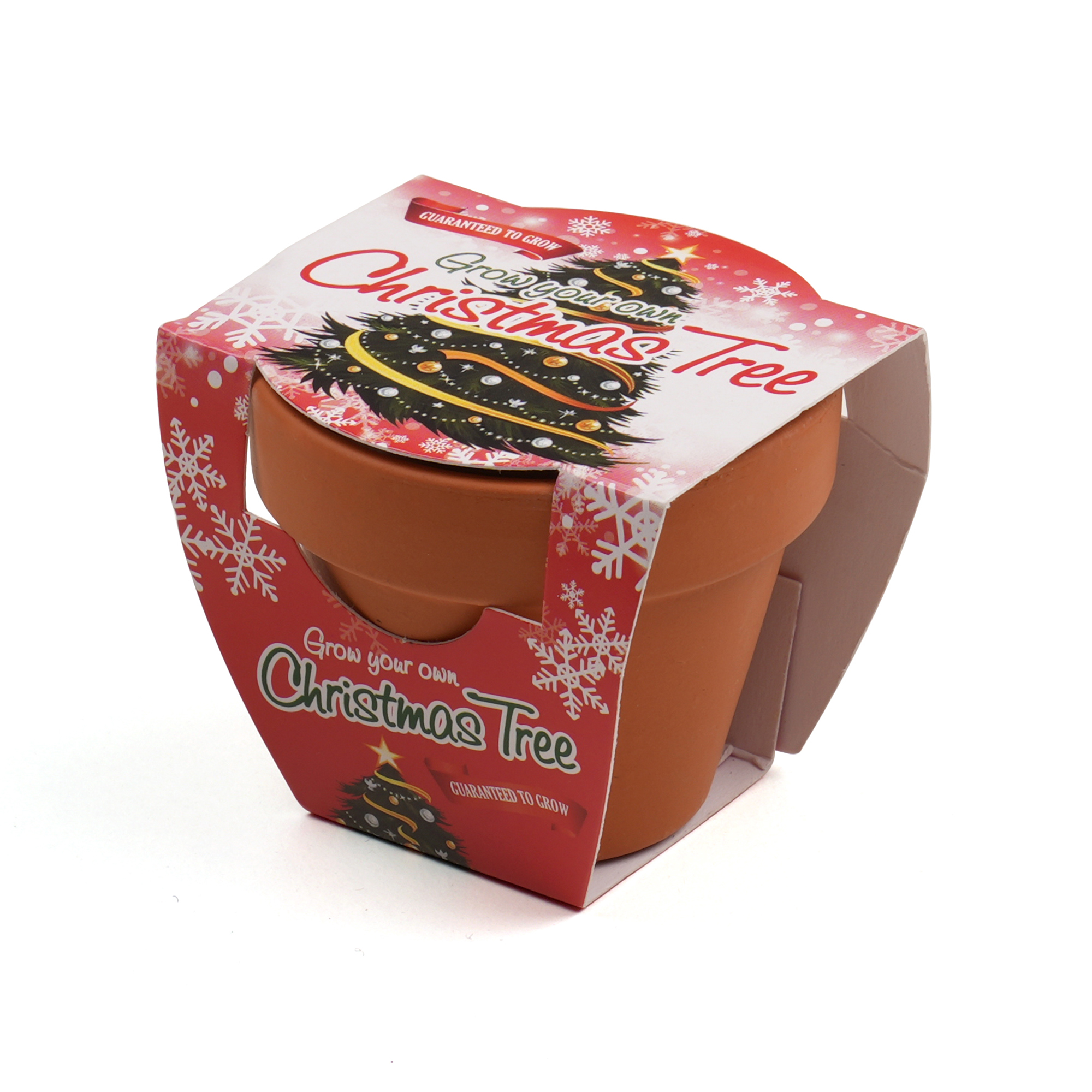Standard Growing Gift with Mini Terracotta Pot