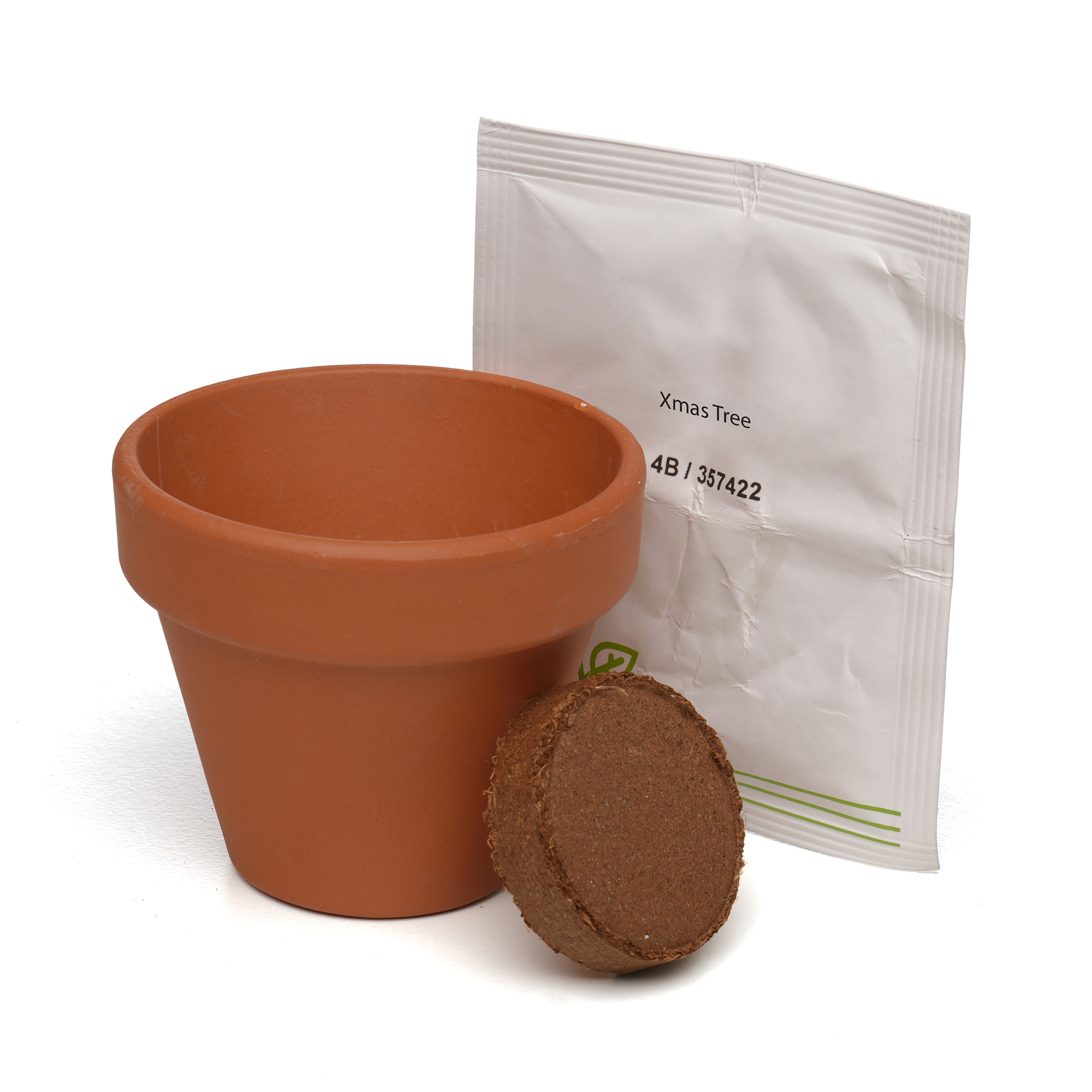 Standard Growing Gift with Mini Terracotta Pot