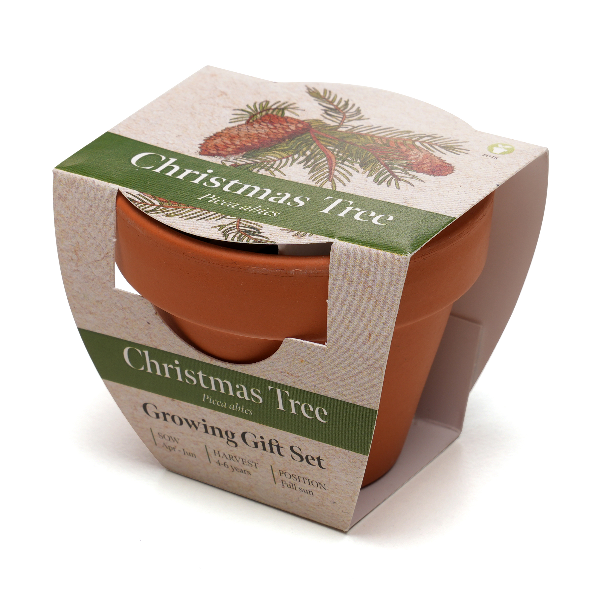 Standard Growing Gift with Mini Terracotta Pot