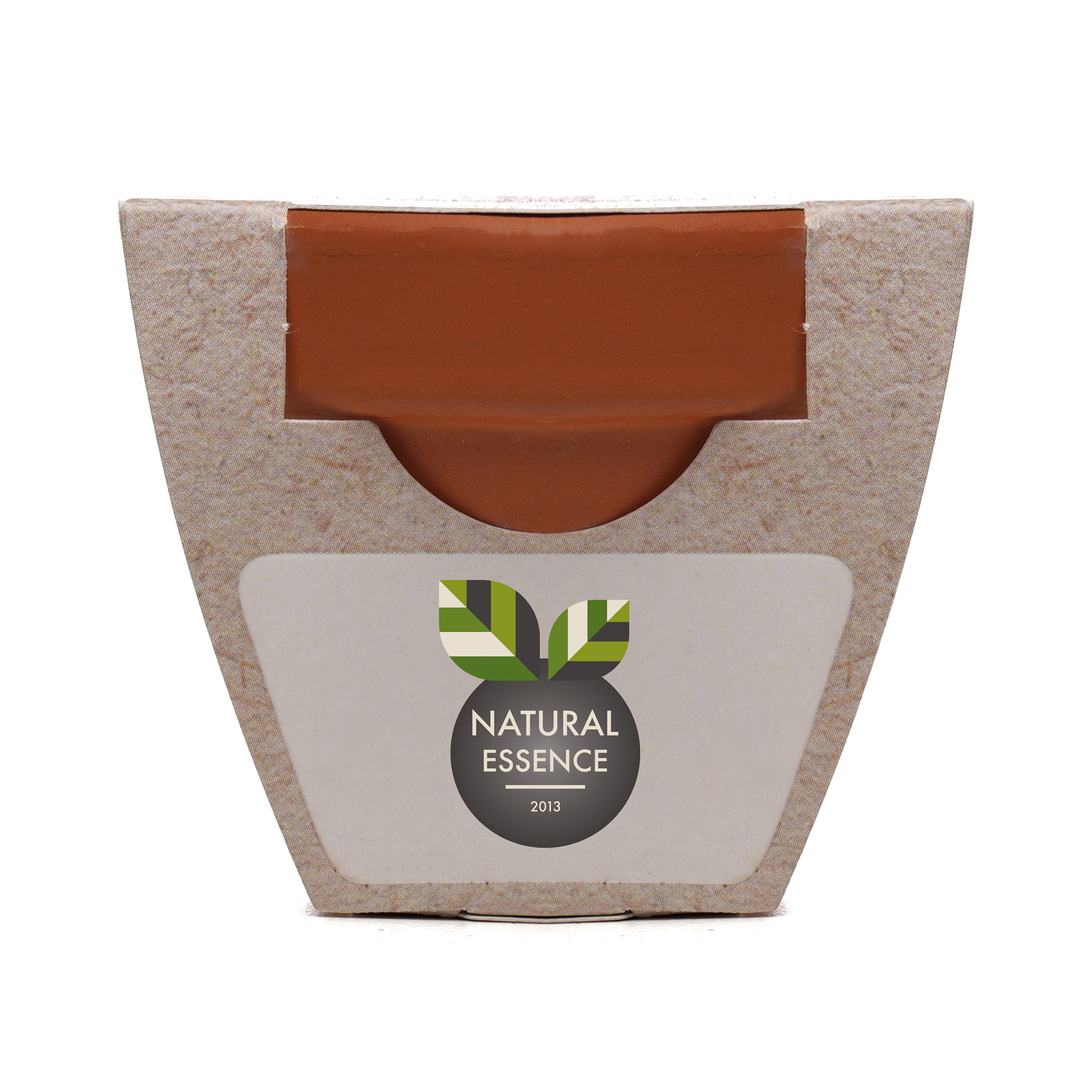 Standard Growing Gift with Mini Terracotta Pot