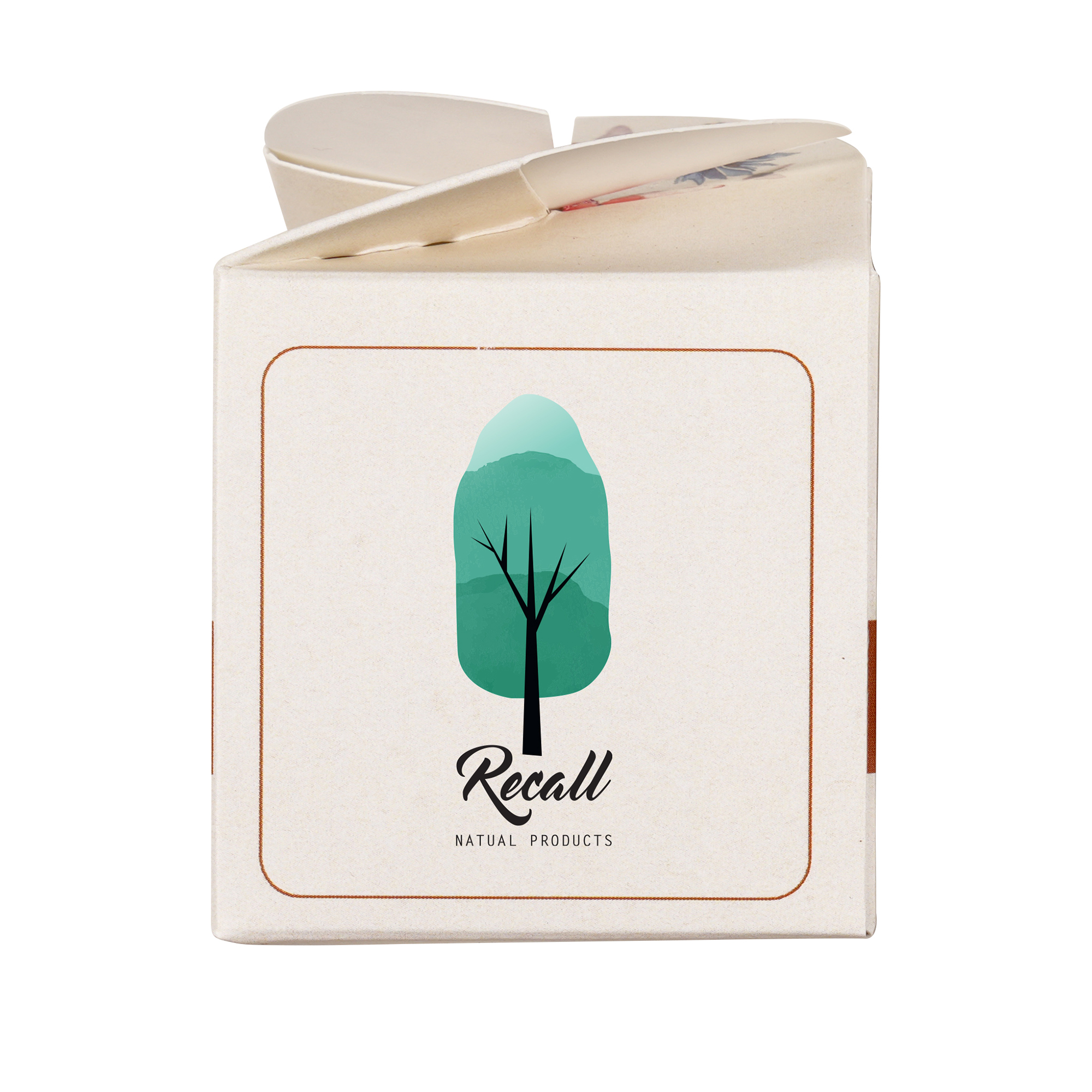 Mini Box Seed Kit