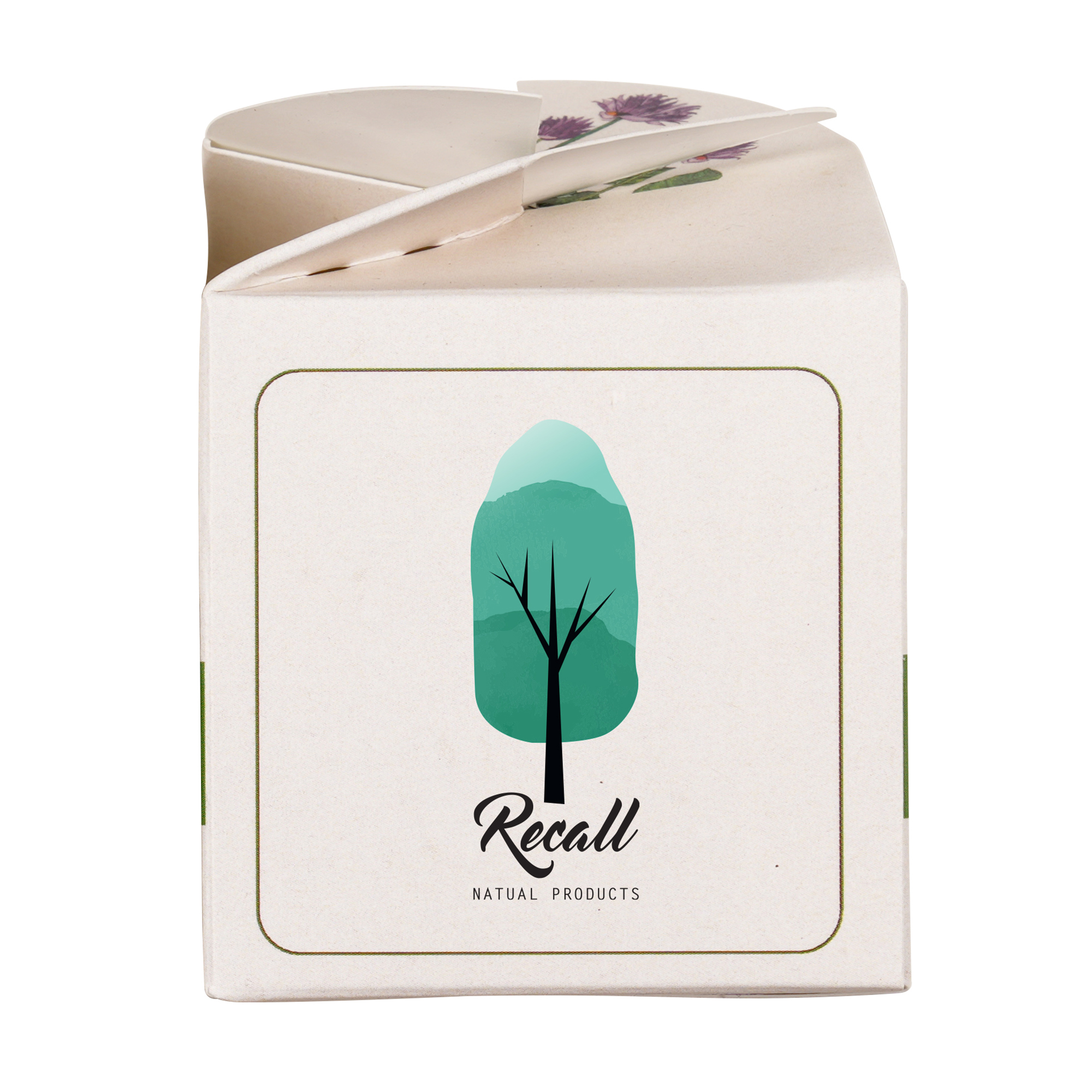 Mini Box Seed Kit