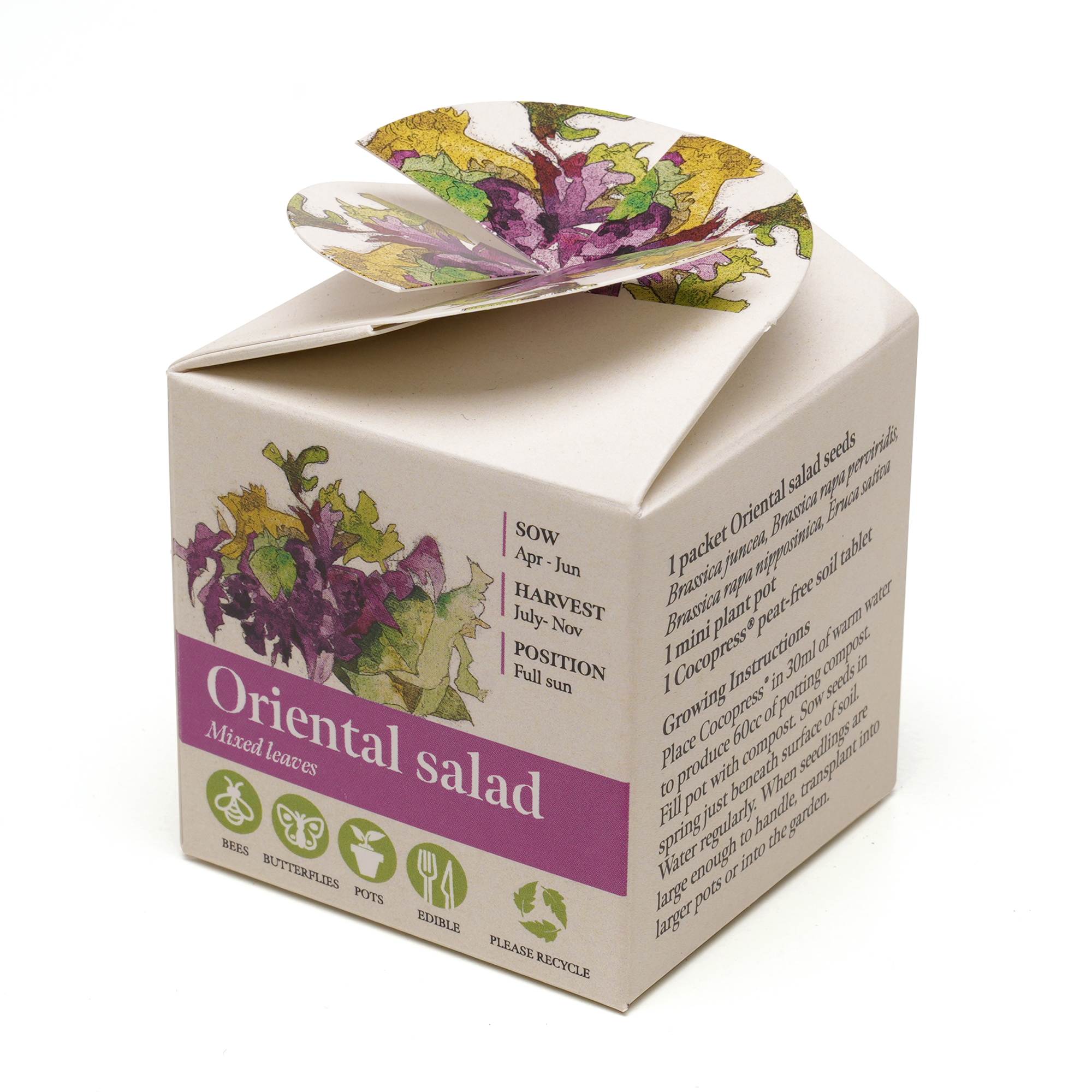 Mini Box Seed Kit