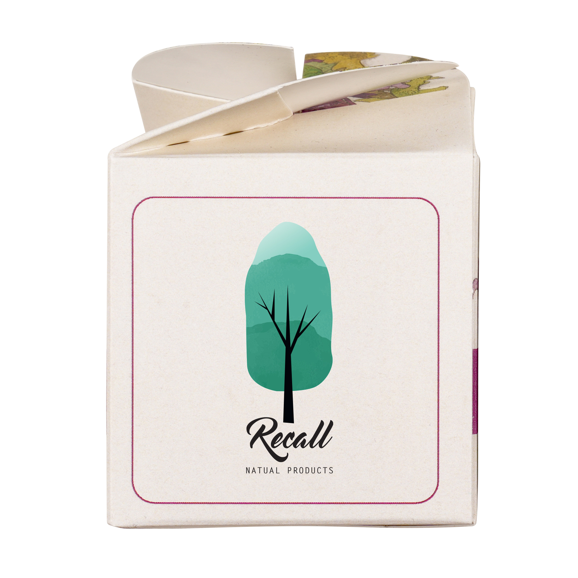 Mini Box Seed Kit