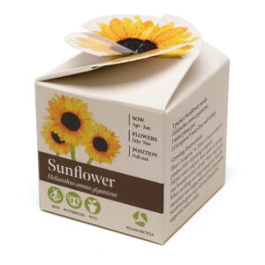 Mini Box Seed Kit