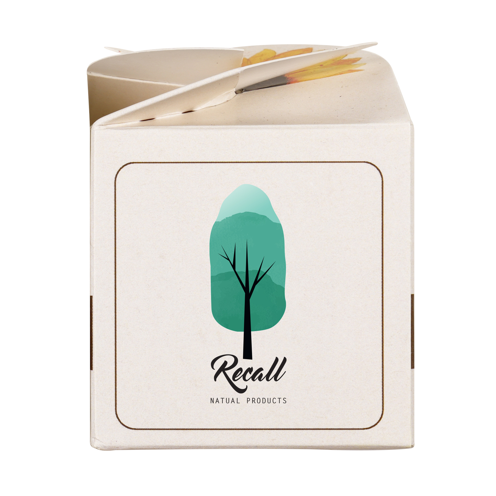 Mini Box Seed Kit