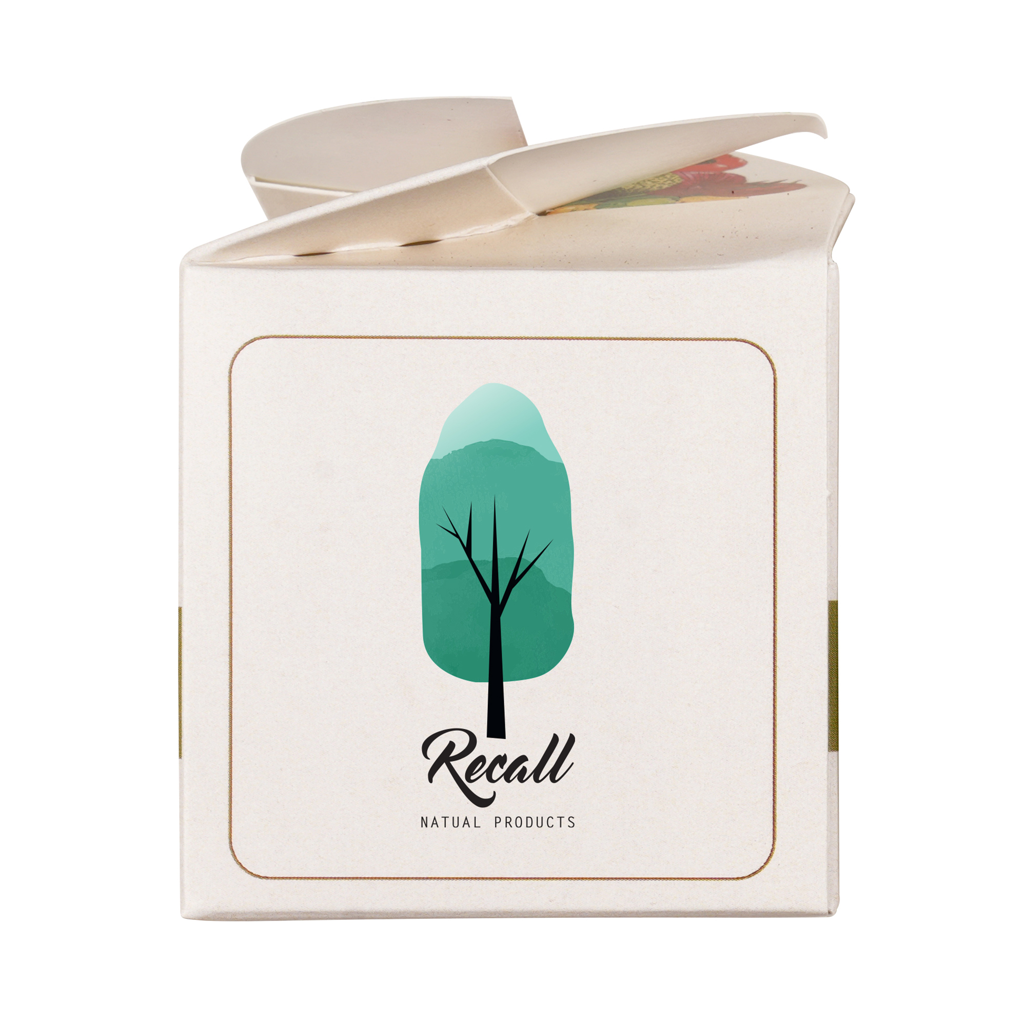 Mini Box Seed Kit